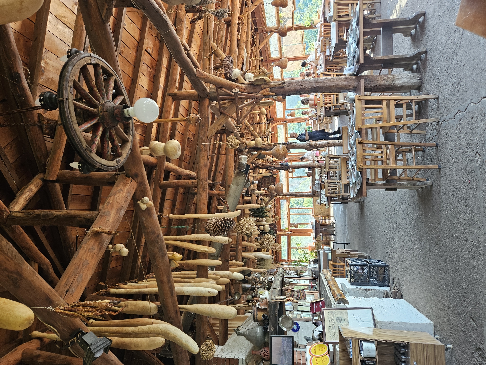 This image depicts the interior of a rustic restaurant located in Tire, Turkey. The scene features a high, exposed wooden beam ceiling from which numerous dried, elongated gourds of various sizes, bundles of dried red peppers, and dried herbs are suspended. A large, weathered wagon wheel, painted in red and black, functions as a chandelier with multiple light bulbs, including a large white globe bulb at its center. Other light fixtures, including a black industrial spotlight, are also visible.
In the foreground and mid-ground, multiple simple wooden tables are arranged with matching chairs, many set with white plates and cutlery. The floor is concrete with visible cracks. Along the left side of the image, a counter area with a rough-hewn wooden top rests on a white-painted brick base. This counter displays various items, including traditional metal ewers, ceramic pots, small metal trays, and framed awards or certificates, some indicating dates like "2018," "2020," and "2021." A small wooden cabinet on wheels is positioned at the far left.
Further into the restaurant, approximately 10-15 individuals are present. Most are seated at tables, engaged in dining or conversation. One man, dressed in a black shirt and black trousers, stands near a thick wooden pillar in the mid-ground, facing away from the camera. Large windows with wooden frames line the far wall, offering a view of dense green foliage and trees outside, providing natural light to the interior. Various other decorative gourds and natural elements like a large pinecone and a metal fish-shaped object are also suspended from the ceiling beams.