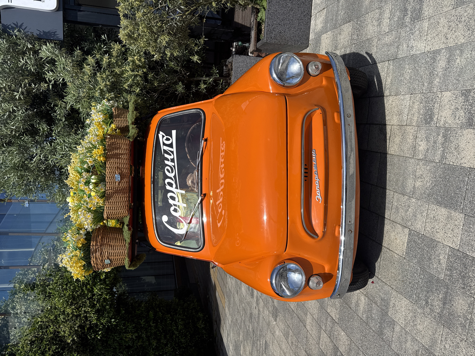 The image displays a bright orange vintage car, identified as a Zaporozhets model, parked on a paved surface during a sunny day in Sochi, Russia. The small, two-door vehicle is viewed from its front-left, with its nose pointed slightly to the right.
The car features chrome headlights and a chrome front bumper. A roof rack is visible, laden with several woven baskets that are overflowing with artificial yellow and white flowers, primarily resembling daffodils, interspersed with green foliage.
Text is clearly visible on the car. The word "Сорренто" (Sorrento) is prominently displayed in white script on the windshield. On the front grille, the car's make, "Запорожец" (Zaporozhets), is spelled out in chrome letters. Another word, "Cobbone," can be faintly discerned on the windshield, possibly as a reflection or an additional decal.
The vehicle is positioned on a pedestrian area, characterized by light and dark grey rectangular paving blocks. The background is filled with lush green vegetation, including dense bushes and trees, suggesting a pleasant outdoor environment. The strong shadows cast by the car indicate bright sunlight and a clear daytime setting. The scene depicts a static display, possibly a decorative piece or a prop for a local business.