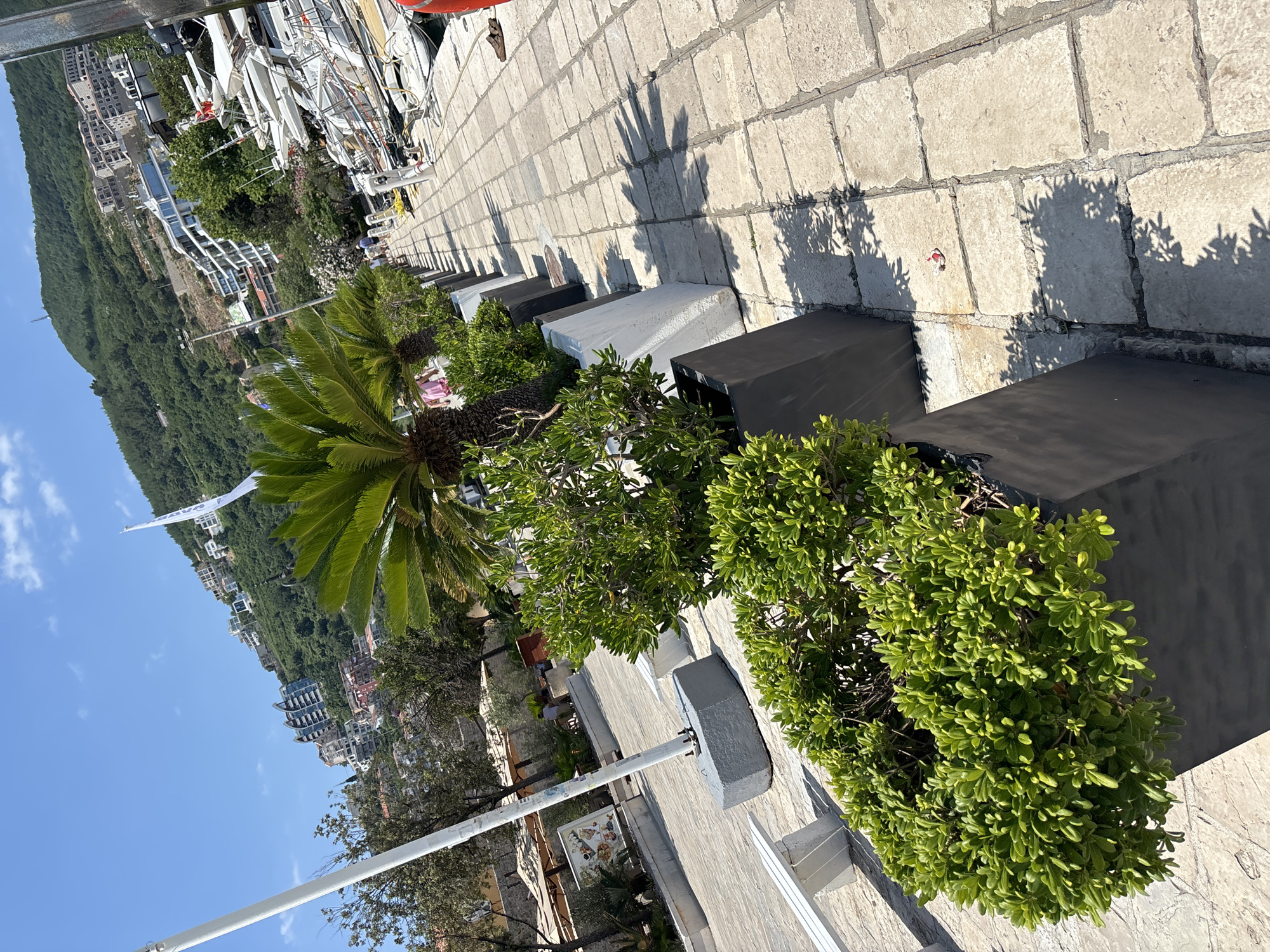 In Budva, Montenegro, a waterfront promenade features a line of black rectangular planters filled with lush green shrubs and palm trees. The planters are arranged along a paved walkway made of light-colored stone tiles, casting distinct shadows from the palm fronds onto the ground. To the right of the walkway, several white yachts are docked in a marina. In the background, a hillside is densely covered with green trees and dotted with white and beige buildings. The sky above is clear blue with a few scattered white clouds. A white flagpole stands on the left side of the image, with a white bench visible in the foreground.