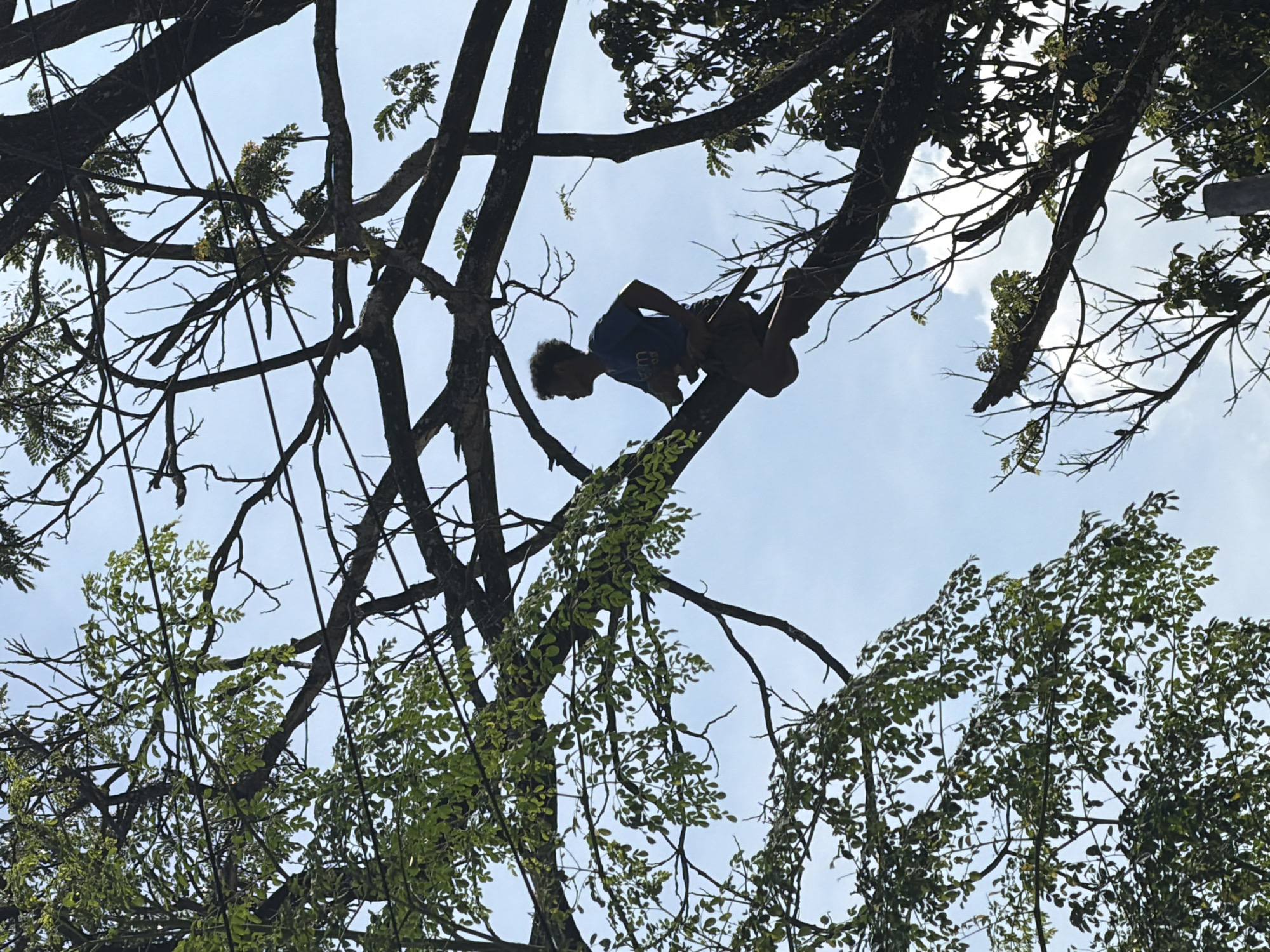 A young person, silhouetted against a bright sky, sits on a thick branch of a large tree. The person, facing left in profile, wears a blue t-shirt and dark shorts. Their legs are bent and resting on the branch, and their right arm is extended forward. The tree has dark, gnarled branches and sparse green leaves, with some areas of dense foliage. The sky is light blue with a few wispy white clouds. The perspective is looking upwards from below the tree.