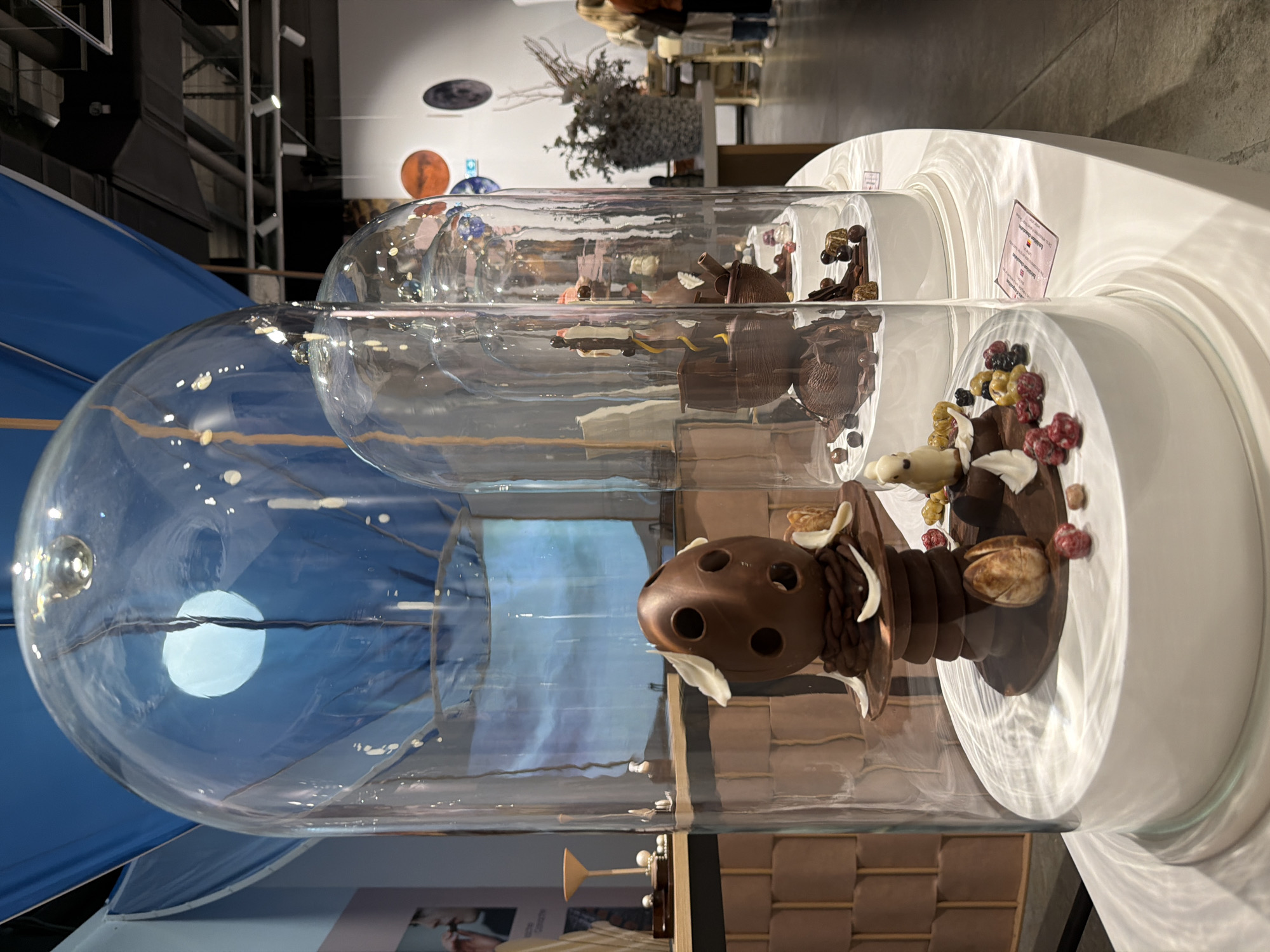The image captures a display of chocolate sculptures under glass domes, likely located within the "Les Secrets des Chocolatiers" chocolate museum in Illkirch-Graffenstaden, France. There are three layered domes, each showcasing chocolate art. The foreground dome contains a brown chocolate sculpture reminiscent of a dinosaur or monster figure, embellished with nuts, berries, and white chocolate accents. The second dome exhibits a collection of chocolate pieces and fruits, possibly designed as a landscape. The third dome, located in the background, shows similar chocolate arrangements. The display is set on a white, multi-tiered platform. The background suggests the museum environment with diffused lighting, other exhibits, and people visible.