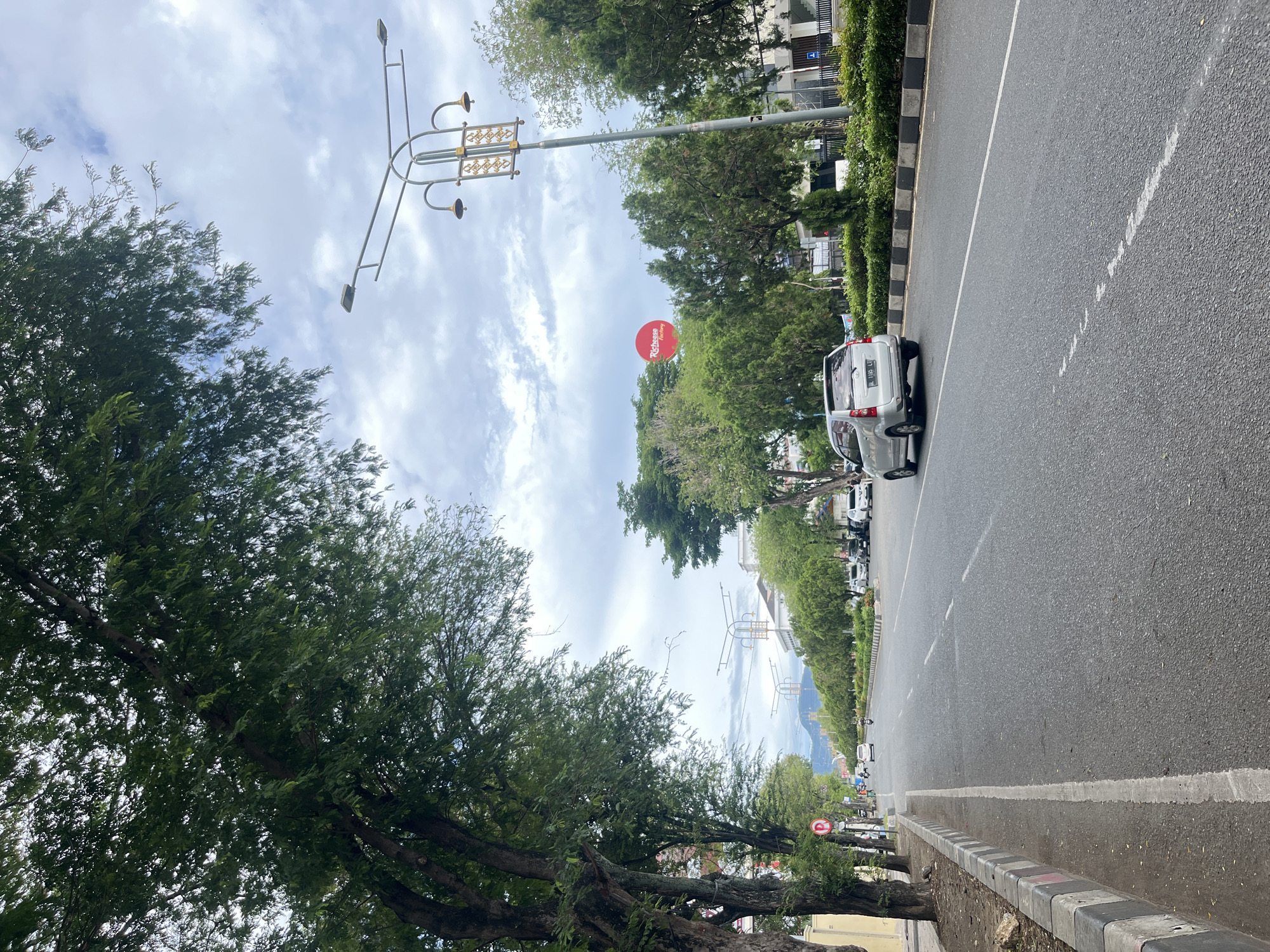 The image captures a wide, tree-lined street in Banda Aceh, Indonesia, under a bright, partly cloudy sky. The perspective looks down the road, with rows of dense green trees flanking both sides, providing a lush canopy. On the right, a curb with black and white stripes separates the asphalt road from a paved area and then the trees.
The two-lane asphalt road features a solid white line along its right edge and a broken white line further left. A silver car, possibly a Toyota Avanza or similar MPV, is parked or slowly moving on the right side of the road, facing away from the viewer. Its Indonesian license plate, "BL 1165 LJ", is clearly visible, indicating its registration in Aceh. Other vehicles and distant structures are faintly visible further down the road.
Distinctive streetlights with ornate, decorative designs and multiple lamps are positioned along the right side of the road. One in the foreground shows intricate golden detailing. Between the trees on the right, a prominent red circular sign hangs, displaying the text "Richeese Factory" in white letters, identifying a fast-food establishment. The time of day is daytime, with soft, diffused sunlight typical of an overcast or partly cloudy sky. The scene is a common urban thoroughfare, conveying a sense of everyday activity.
