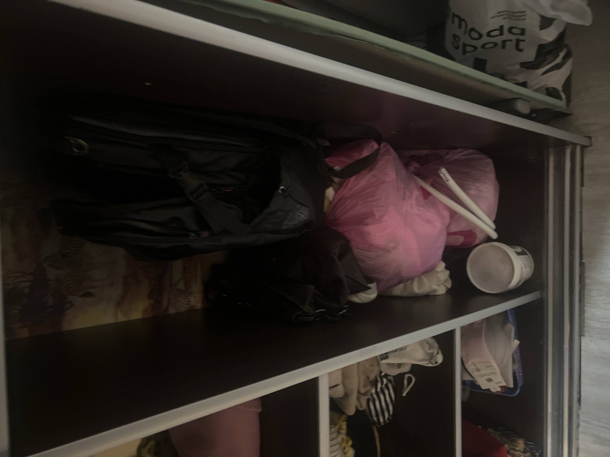 The image shows the interior of a dark closet. On the top shelf, a black backpack is visible. Below, a large pink plastic bag is present, with two white cylindrical objects protruding from it. A white cylindrical container is on the shelf below. To the right, a white bag with black text that reads "moda sport" is partially visible. The closet has dark wooden shelves and is illuminated by an overhead light. The image was taken inside a residence in Veteran-2, Russia.