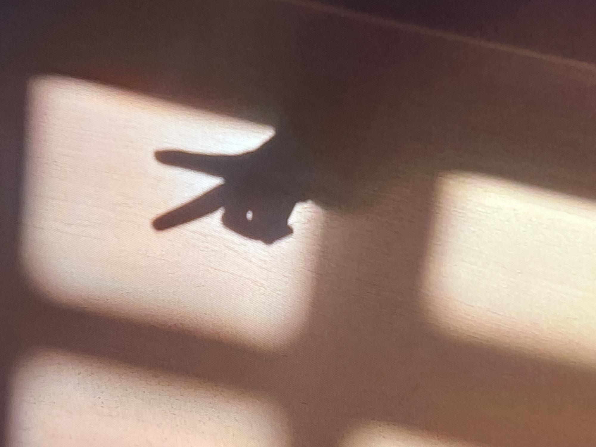 A shadow of a hand forming a peace sign is projected onto a textured, light-colored surface. The shadow is dark and distinct, with the fingers clearly visible. The background surface appears to be a wall or fabric with subtle patterns. Rectangular shadows, possibly from window blinds or a grid, are also visible in the background, creating a sense of depth and context. The lighting suggests the image was taken indoors during the day, with light coming from a window or other light source casting shadows. The image is taken from a slightly low angle, focusing on the hand shadow. There is no indication of the location being in Genemuiden, Netherlands, as the image provides no discernible geographical markers.