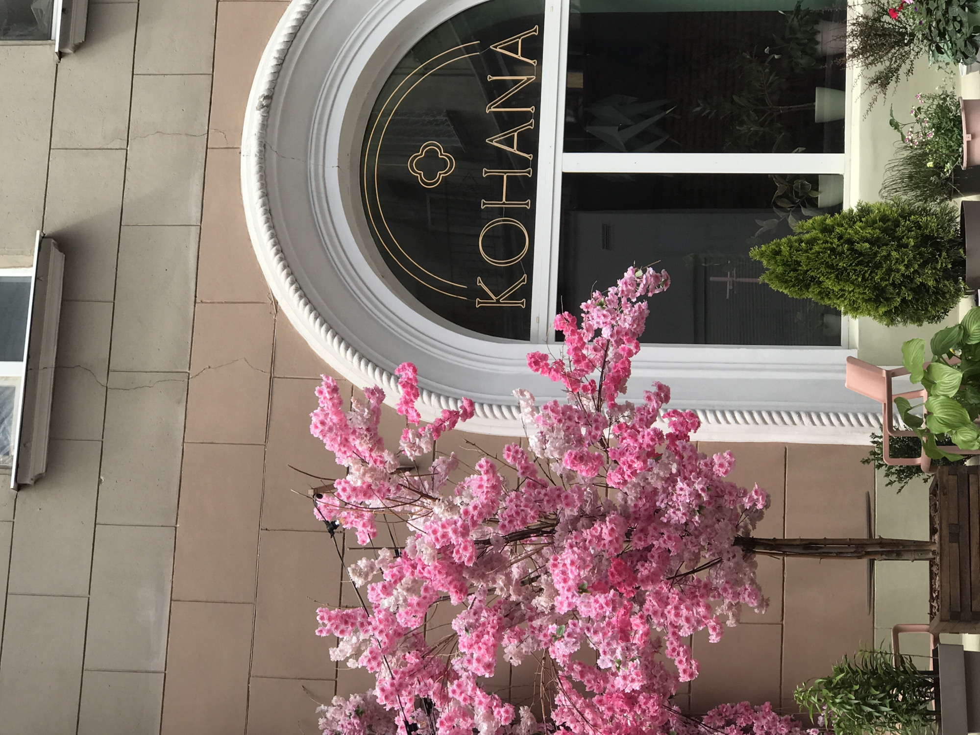 A faux pink cherry blossom tree is positioned in front of a building in Kharkiv, Ukraine. The tree has a brown trunk and is potted in a wooden planter. The building features a beige facade with darker pink rectangular blocks, and a large arched window with the golden text "KOHANA" and a clover-like symbol. The window is divided into two panes, with plants visible inside. To the left of the tree, a gray planter holds a green plant. To the right, a small evergreen tree is in a dark pot, with more plants and a pink chair visible. Overhead, the facade has white trim and two windows. The overall scene depicts an outdoor seating area or storefront decoration.