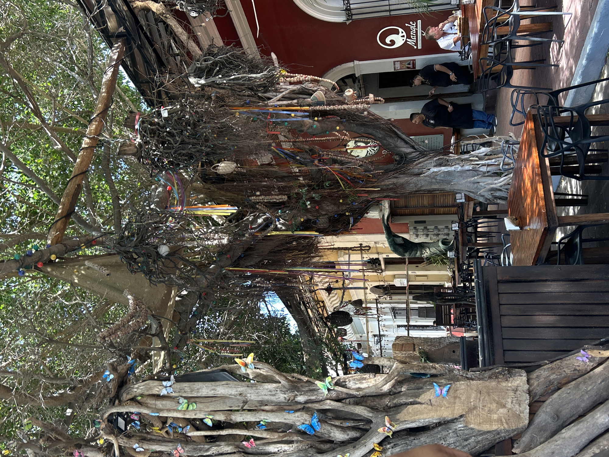 The image captures a unique scene in Mazatlán, Mexico. A massive, decorated tree dominates the foreground, adorned with colorful butterflies and other objects. Behind it, a building with a red façade houses a restaurant or café named "Mangle", with people seated at tables outside. The establishment is set up on a paved area with additional chairs and tables. The overall environment suggests an outdoor dining experience with the decorated tree as a central artistic element.