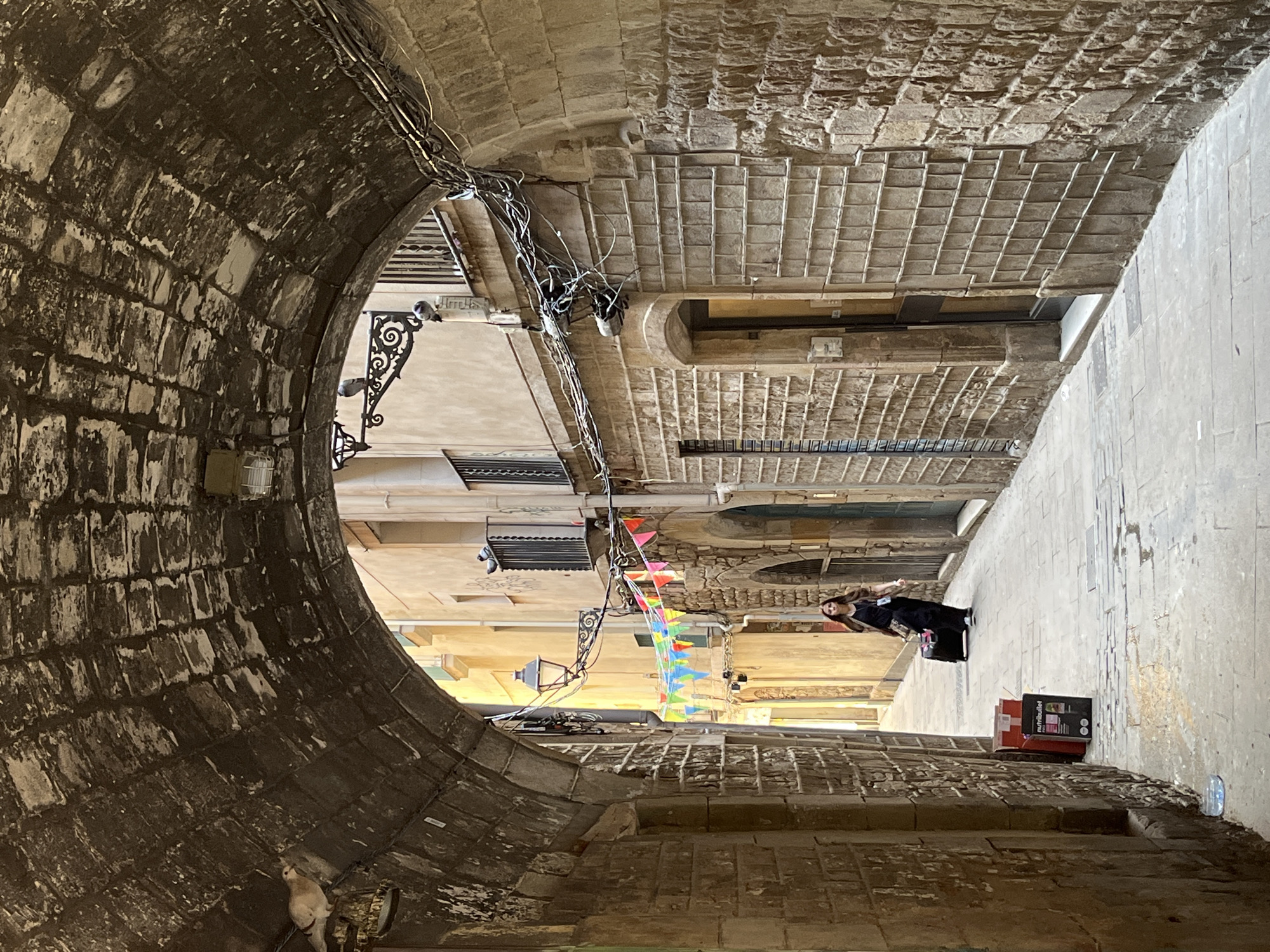 This image, when correctly oriented, depicts a narrow, arched stone passage or alleyway in an old European city, likely Barcelona's Gothic Quarter. The perspective is looking out from within the archway towards a brighter, open street.
The passage itself is constructed of rough-hewn stone or brick, with a vaulted ceiling. Numerous wires and cables are strung along the ceiling and walls of the archway. Towards the end of the passage, on the left, an ornate, black wrought-iron street lamp extends from the wall. Several pigeons are perched on ledges within the archway and on structures beyond.
At the end of the passage, a woman with long dark hair, wearing a black top and dark trousers or skirt, stands on the right side of the street, looking towards the archway. On the ground near her, there is a red crate and a black box. The black box clearly displays the brand name "NutriBullet." Further into the street, colorful triangular pennant banners are strung across the alley, adding a festive touch. The street beyond appears paved with light-colored stones or asphalt. A plastic water bottle lies on the ground near the base of the archway on the right.
The scene appears to be taking place during the daytime under clear weather, indicated by the bright light illuminating the street at the end of the passage. The architectural style, with its aged stone and narrow, covered passages, is characteristic of historical urban areas. No specific activity is depicted beyond the woman standing in the street.