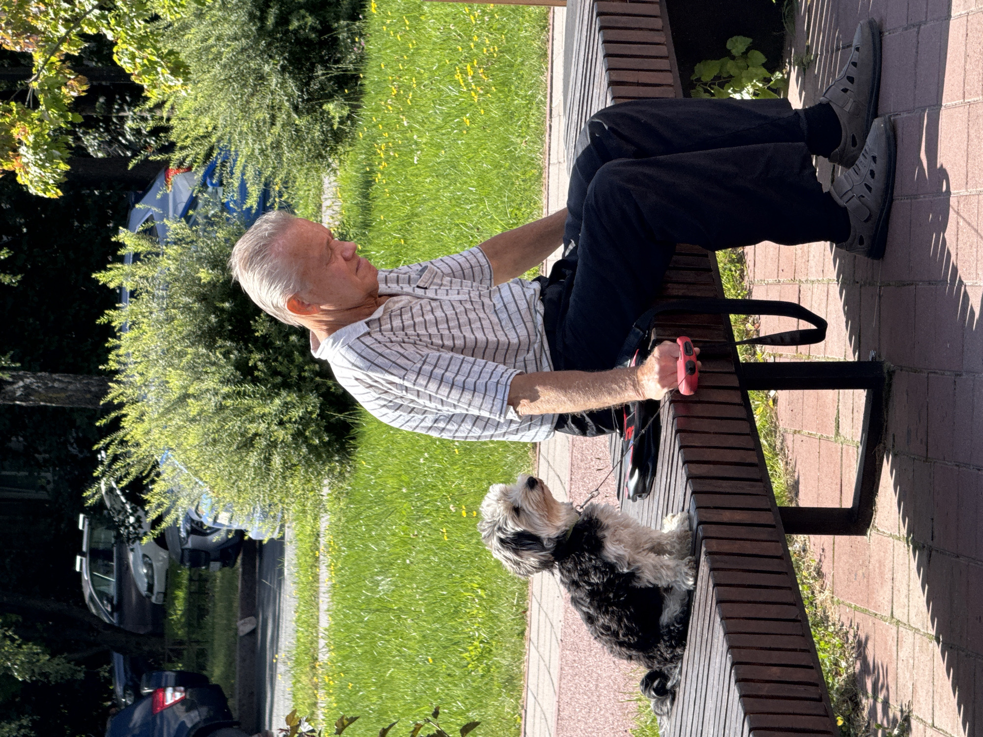 In Saint Petersburg, Russia, on a sunny day, an elderly man with gray hair sits on a wooden bench outdoors, looking down with his head bowed. He is wearing a horizontally striped polo shirt and dark trousers. To his left, a small, fluffy dog with black and white fur sits on the bench, facing to the right and appearing alert. A red leash with a black handle is visible near the man's hand, connecting to the dog. Behind the bench, lush green grass dotted with small yellow flowers stretches into the background. Beyond the grass, several cars are parked, and dense green bushes and trees create a natural backdrop. The ground in front of the bench is paved with red bricks, and the shadow of the bench is cast upon it.