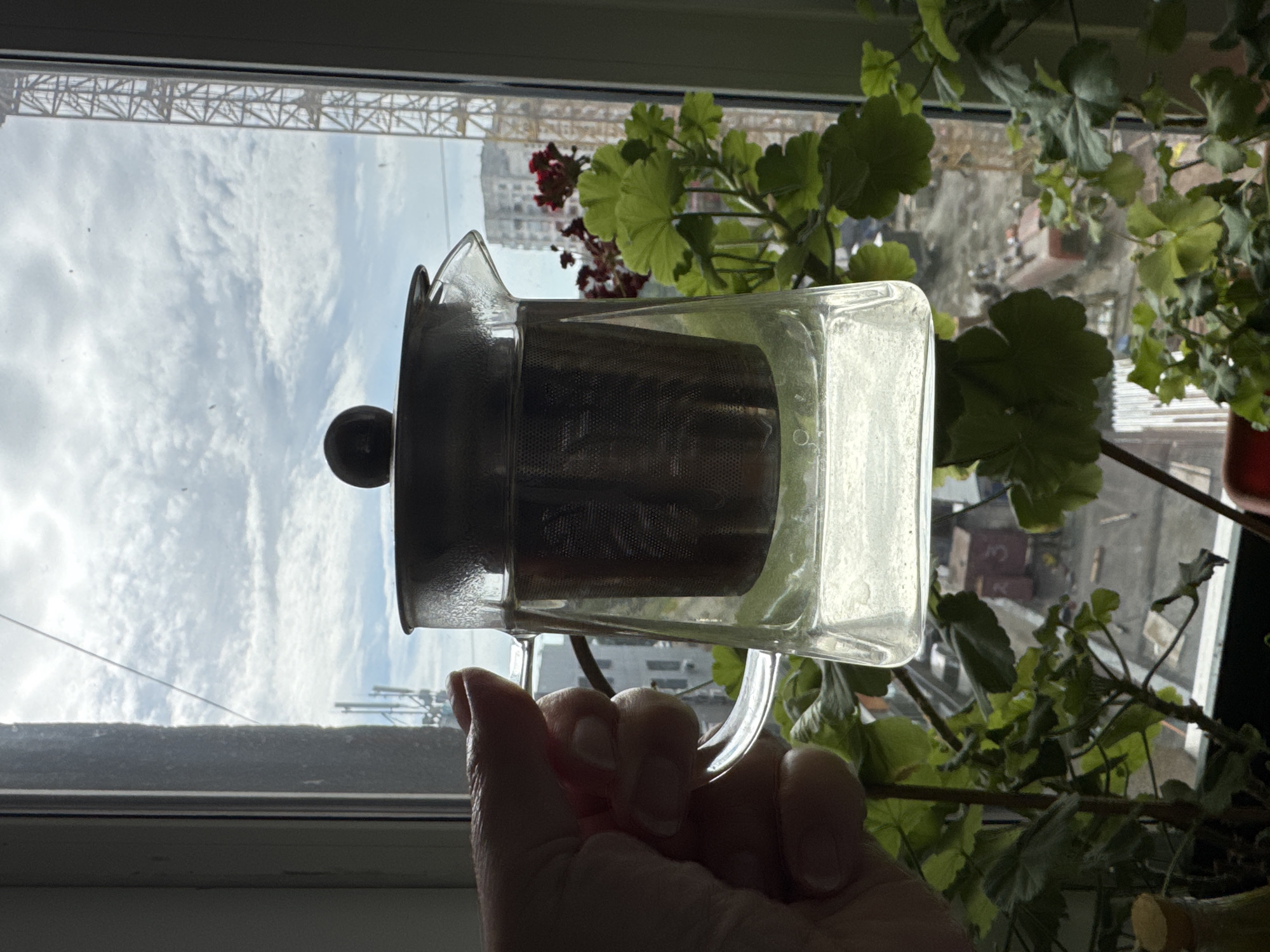 A hand is holding a glass teapot with a metal infuser, filled with clear liquid, in front of a window with a cloudy sky and a cityscape. The cityscape includes buildings and a construction crane. Green plants are visible in the foreground, obscuring the lower part of the scene. The image is likely taken in an urban environment, possibly Ufa, Russia, given the architectural styles and vegetation, though this cannot be definitively confirmed.