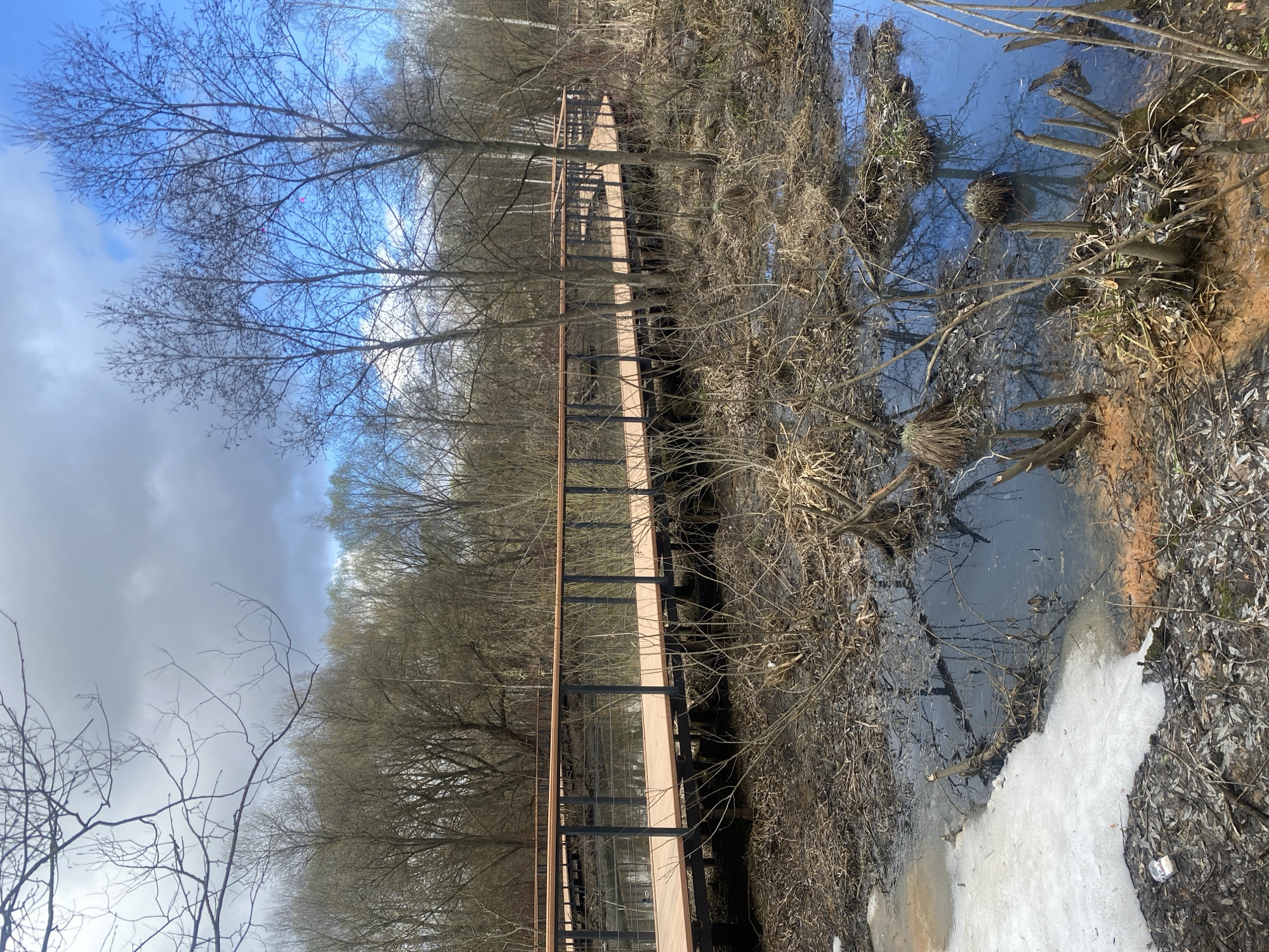 The image depicts a winter scene in a park in Moscow, Russia. A wooden boardwalk with a metal railing runs through a marshy area. The water is dark and still, with patches of ice and snow along the edges. Bare trees line both sides of the boardwalk, their branches reaching towards a blue sky with grey clouds. The ground is covered in dead vegetation and leaves. No people are visible.