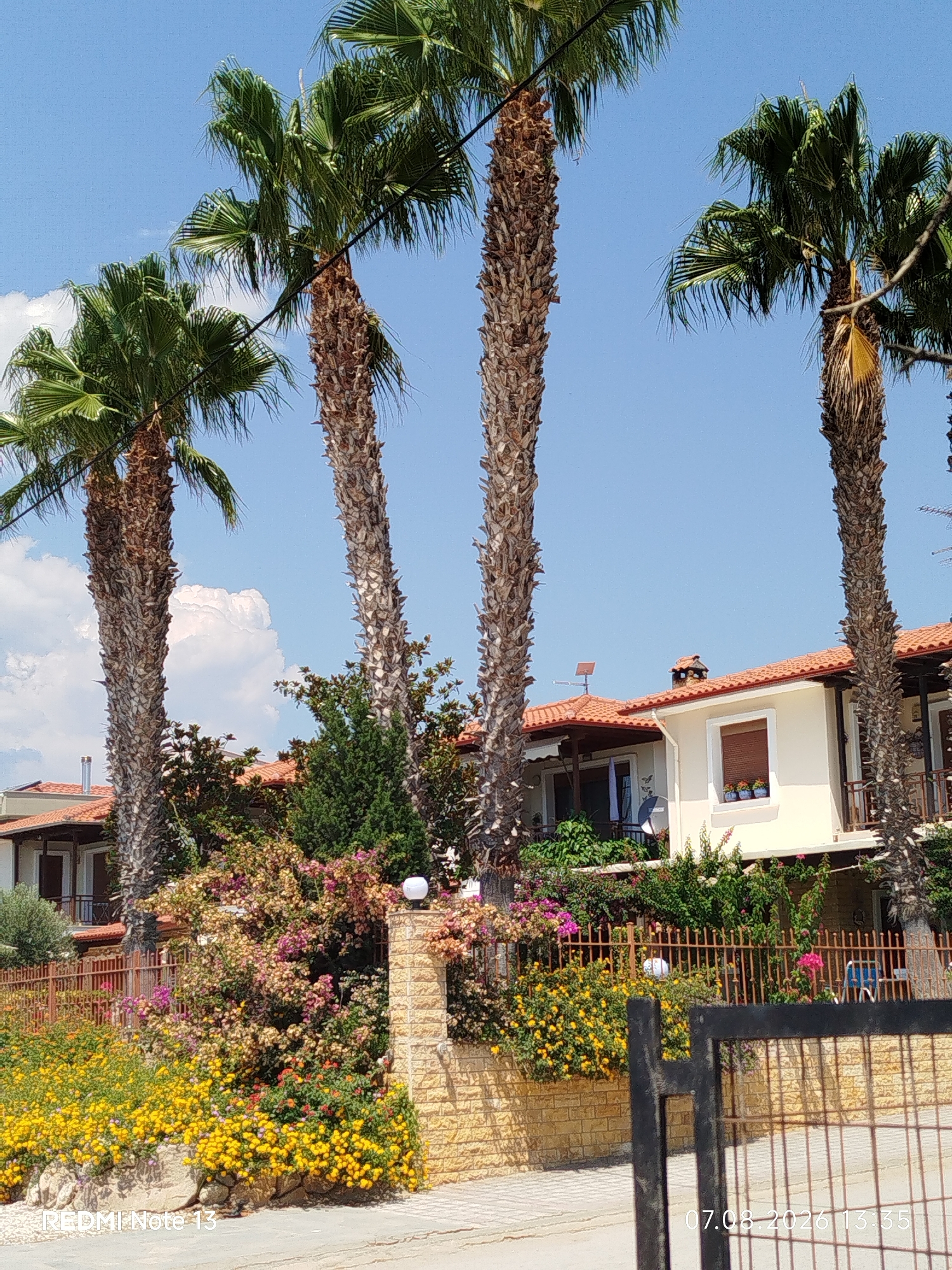 In Sithonia Municipal Unit, Greece, a residential property is depicted under a clear blue sky with scattered white clouds. The foreground features a vibrant garden with an abundance of yellow, pink, and red flowers, bordered by a rustic stone wall and a metal fence. Tall palm trees with weathered trunks stand prominently, interspersed with lush green foliage and flowering bushes. Behind the garden, a light-colored building with a red-tiled roof is visible, featuring windows with dark shutters and a satellite dish. The scene suggests a warm, sunny day in a Mediterranean setting, likely during the summer months. The timestamp "07.08.2026 13:35" is overlaid on the lower right of the image.