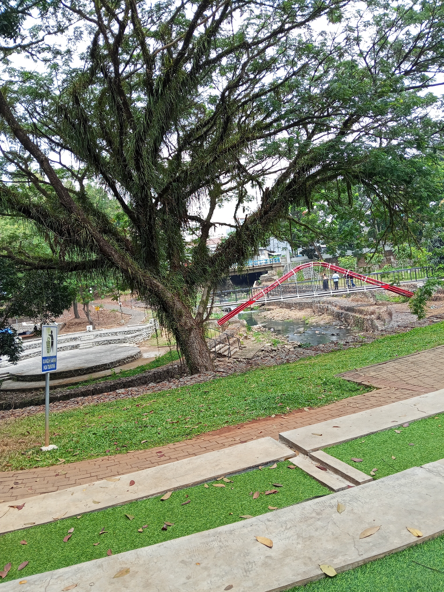This is an outdoor, eye-level photograph taken at Taman Tirto Agung in Semarang, Indonesia. The scene depicts a park area with a stream and a bridge. In the foreground, a large tree with mossy branches dominates the left side of the frame. To the right, a tiered seating area made of concrete and artificial turf is visible, with scattered autumn leaves on the ground. A sign indicating a trash bin is also present in the mid-ground on the left.
A small, rocky stream flows through the mid-ground, crossed by a red and white arched bridge. Three individuals, two men and one woman, are standing on the bridge. The background features lush green trees, a body of water, and buildings in the distance. The sky is overcast.