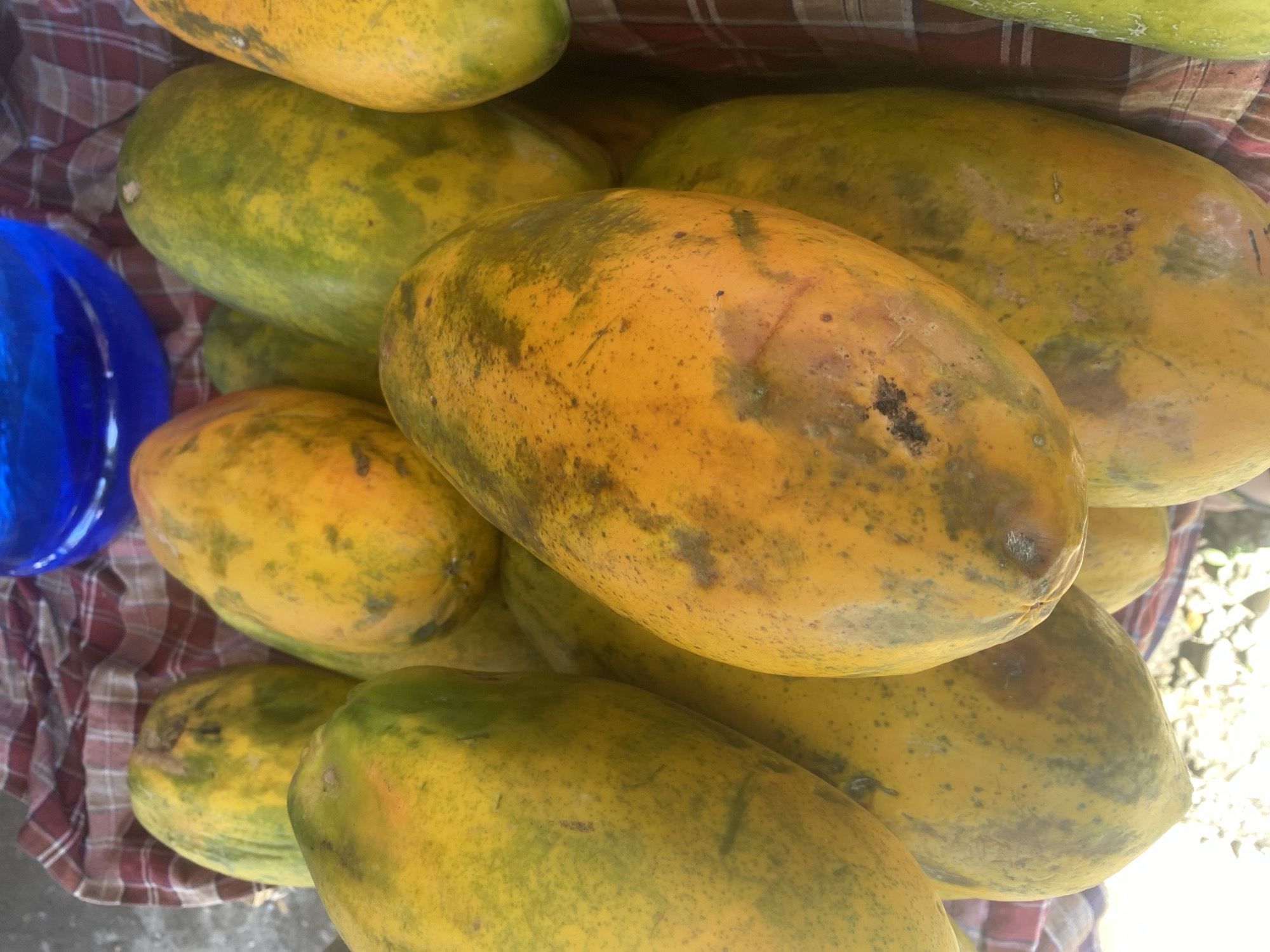 A close-up, top-down view shows a pile of papayas, some yellow-orange and others predominantly green with yellow splotches. The fruits are resting on a red and white checkered cloth. Behind the papayas, a bright blue object, possibly a bowl or container, is partially visible. The background appears to be a rough, light-colored surface, suggesting an outdoor setting. The lighting indicates it is daytime, with some sunlight casting shadows and highlighting the textures of the fruit. The scene is likely a market stall in Ta', Indonesia, given the fruits and the casual arrangement. No people are visible in the image.