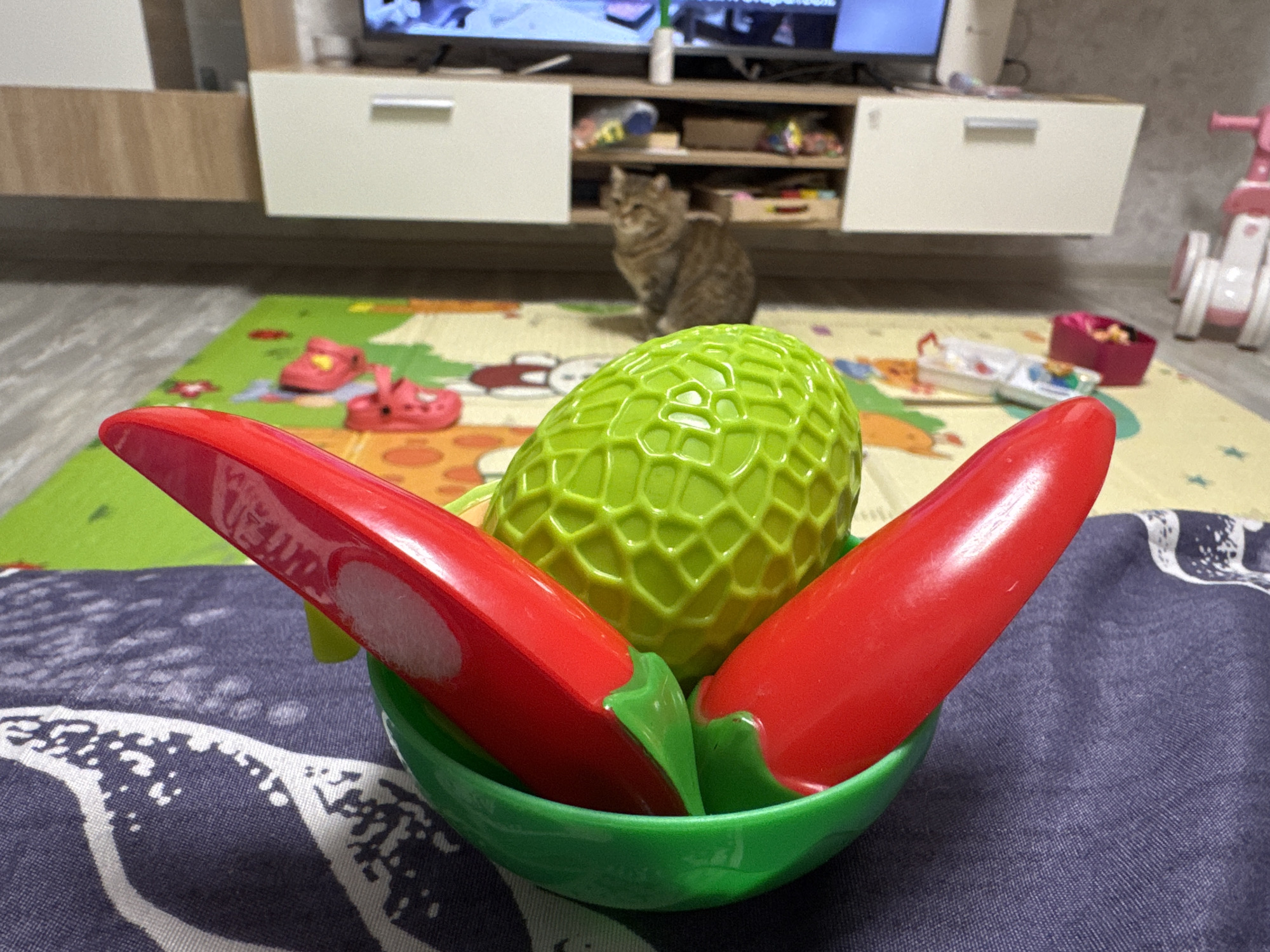 The image shows a child's play set on a patterned surface, consisting of a green plastic bowl containing a green, textured spherical toy and two red, elongated toy peppers. In the background, a light-colored play mat with various shapes is visible, along with a television stand, a television, and a cat sitting behind the bowl. The location is implied to be Chaikovsky, Russia.