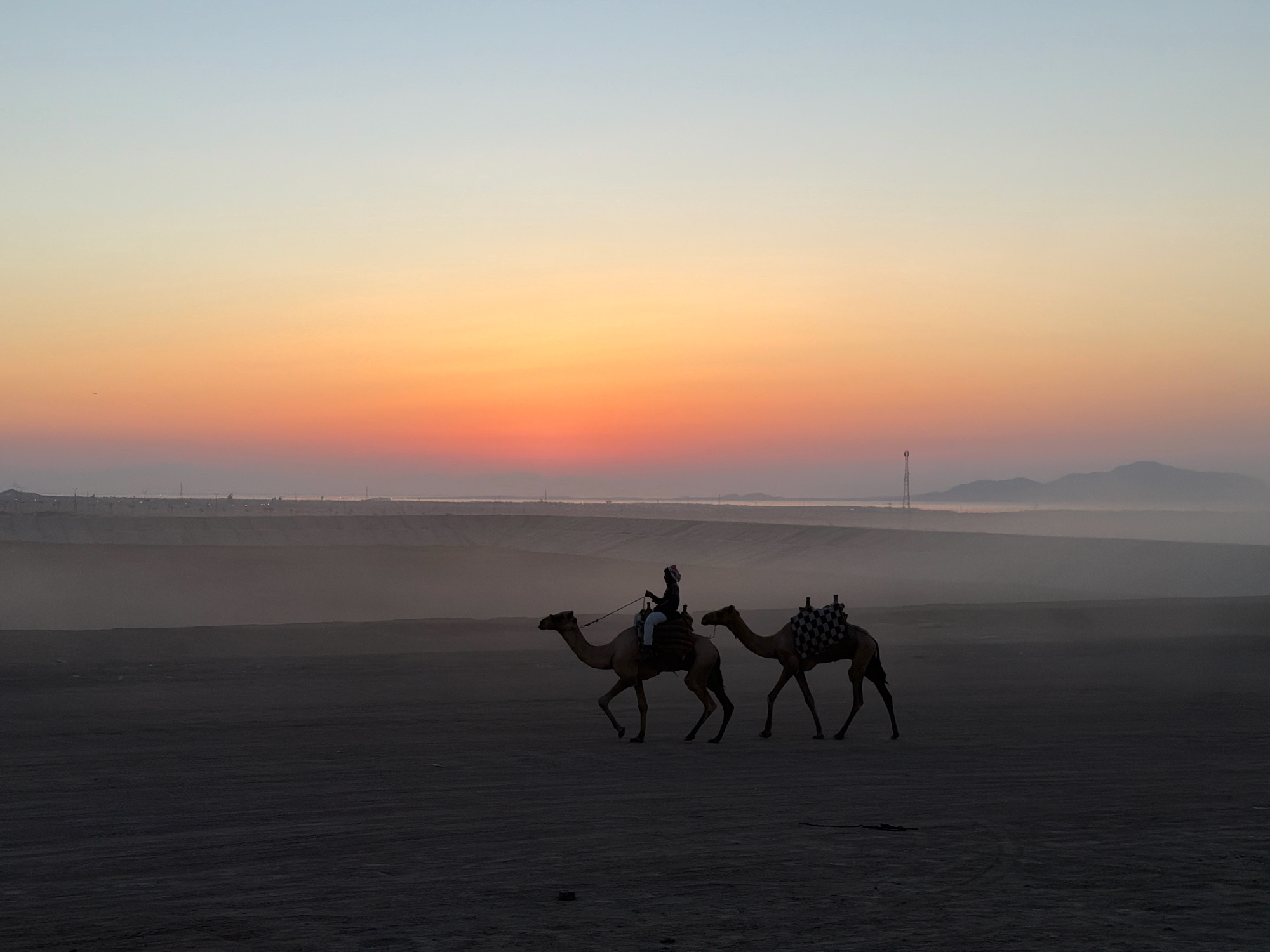Two camels, each carrying a rider, are walking across a dusty plain at sunset in Sharm El Sheikh, Egypt. The sky displays a gradient of soft blues, oranges, and pinks, with the sun dipping below the horizon in the distance. The ground is a dark, sandy terrain with visible tire tracks. In the background, hazy mountains and a distant, silhouetted cityscape are visible, suggesting a transition from desert to populated area. A lone communication tower stands on the horizon. The overall atmosphere is serene and tranquil, capturing a moment of desert travel at dusk.
