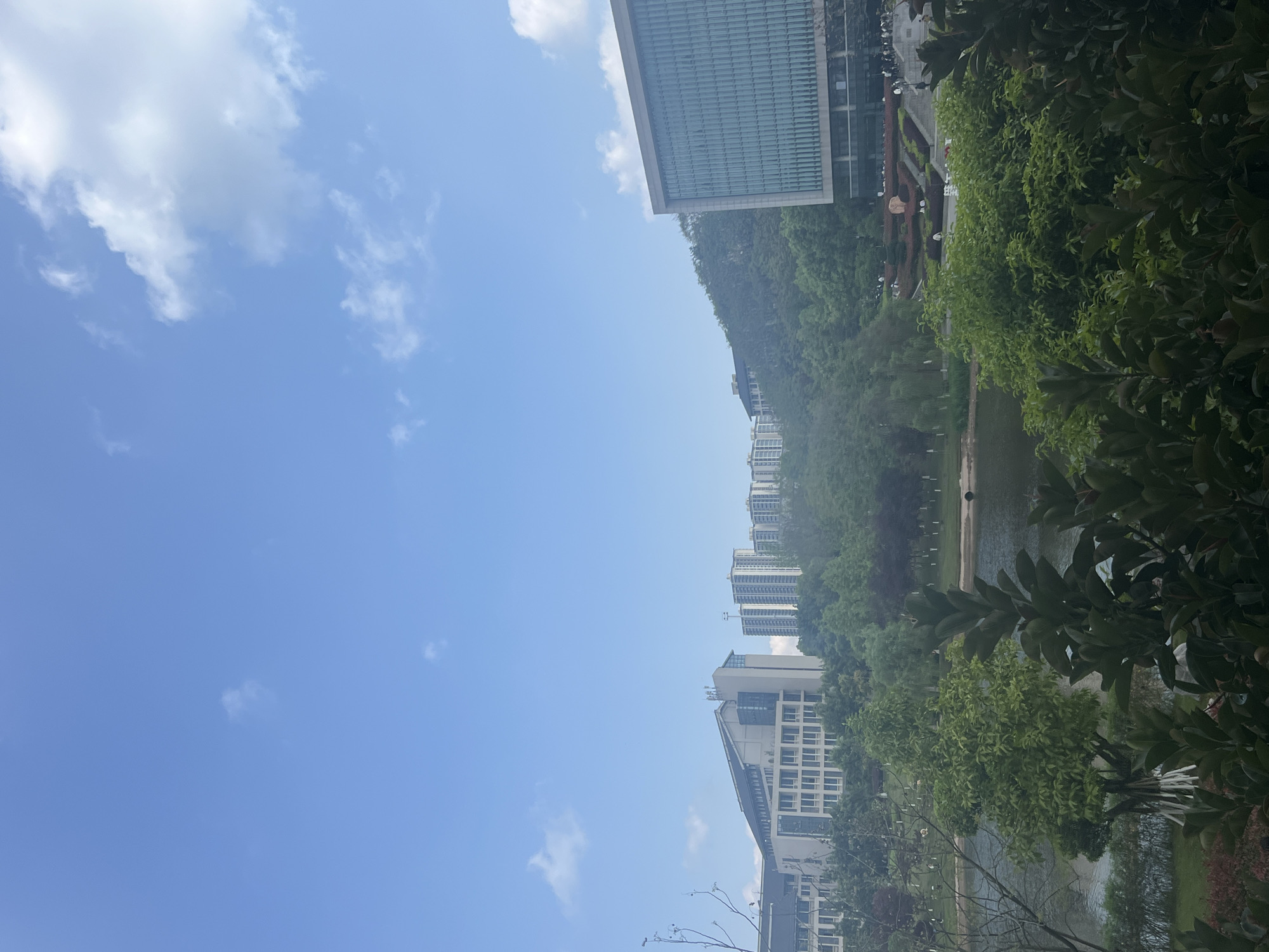 The image shows a view of a city landscape in Jiangjin, China. The sky is mostly clear blue with scattered white clouds. On the right side of the frame, green foliage fills the foreground. A body of water, likely a lake or river, is partially visible behind the trees. Several modern buildings and apartment complexes are lined up in the distance, nestled amongst trees. A tall, glass-fronted building sits at the top, near what appears to be a hillside or forested area. The photograph seems to have been taken during the day, with good lighting conditions. The orientation of the photo is vertical.