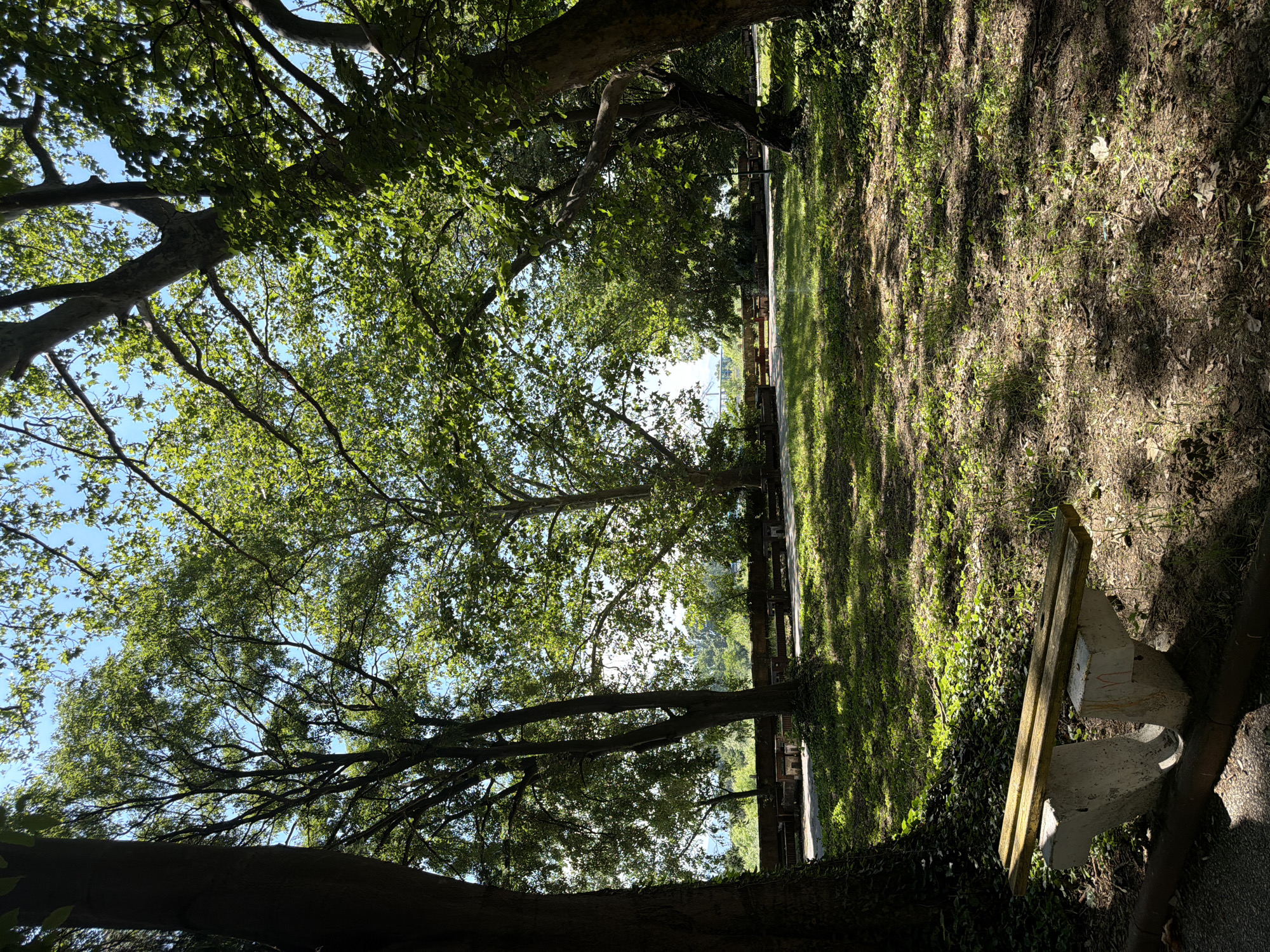 The image depicts a serene park scene bathed in dappled sunlight. In the foreground, a rustic wooden bench with weathered yellow planks rests on two concrete supports. The bench is positioned on the edge of a paved path that curves through a grassy area. Tall trees with lush green canopies dominate the scene, casting intricate shadows on the ground. In the background, a low wall separates the park from a walkway lined with more benches. Beyond the wall, a glimpse of water and distant structures suggests a waterfront or a view of the city. The overall impression is one of a tranquil urban oasis. This location is likely the Georgi Dimitrov Garden in Pazardzhik, Bulgaria, a well-known park with similar features, including benches, pathways, and mature trees, often situated near water bodies. There are no people visible in the image.