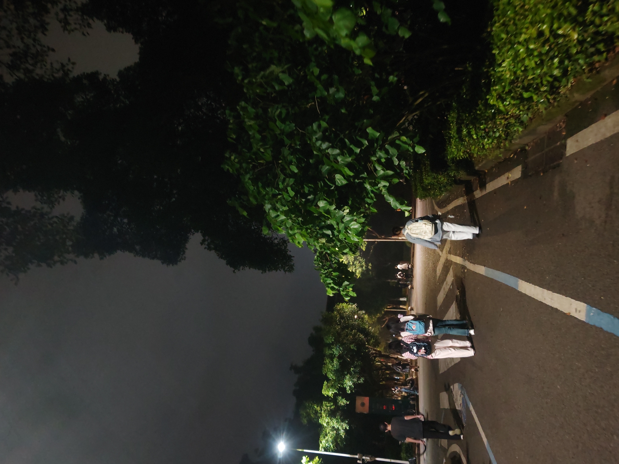 At night in Chongqing High-tech Zone, China, a street scene unfolds under artificial lighting and the canopy of trees. Three people stand near a crosswalk; the first person, wearing a black shirt and long pants, stands at the end of the crosswalk. Two others stand to the side of the crosswalk. Above them, there is at least one other person on the side of the road. The road shows marked crosswalk lines. Foliage is visible, and the sky is dark.