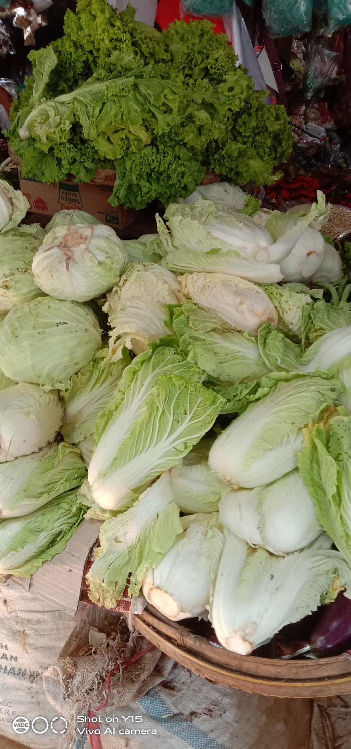 The image displays a close-up view of a vegetable market stall in Maron, Indonesia. The primary subjects are various types of fresh, leafy green vegetables arranged for sale.
In the upper left quadrant, a large quantity of vibrant green, curly-leaf lettuce is piled, resting atop a brown cardboard box. Partially visible text on this box includes "Santan Kelapa." Below and to the left of the lettuce, several pale green, round cabbages are stacked. The majority of the central and right areas of the frame are filled with numerous heads of Napa cabbage (Chinese cabbage), identifiable by their elongated, pale green to white bases and lighter green, slightly crinkled leaves. Some of these cabbages are contained within or spilling from a light brown, woven bamboo basket located on the right. A dark purple eggplant is partially visible at the bottom right corner, adjacent to the basket.
The vegetables are displayed on a surface covered by an off-white, woven sack, which has faint, illegible text ("HAN") visible at the bottom left. The background is dark and indistinct, suggesting further market goods or stall structures. No individuals are visible within the frame. The scene is static, depicting a typical market display of produce.