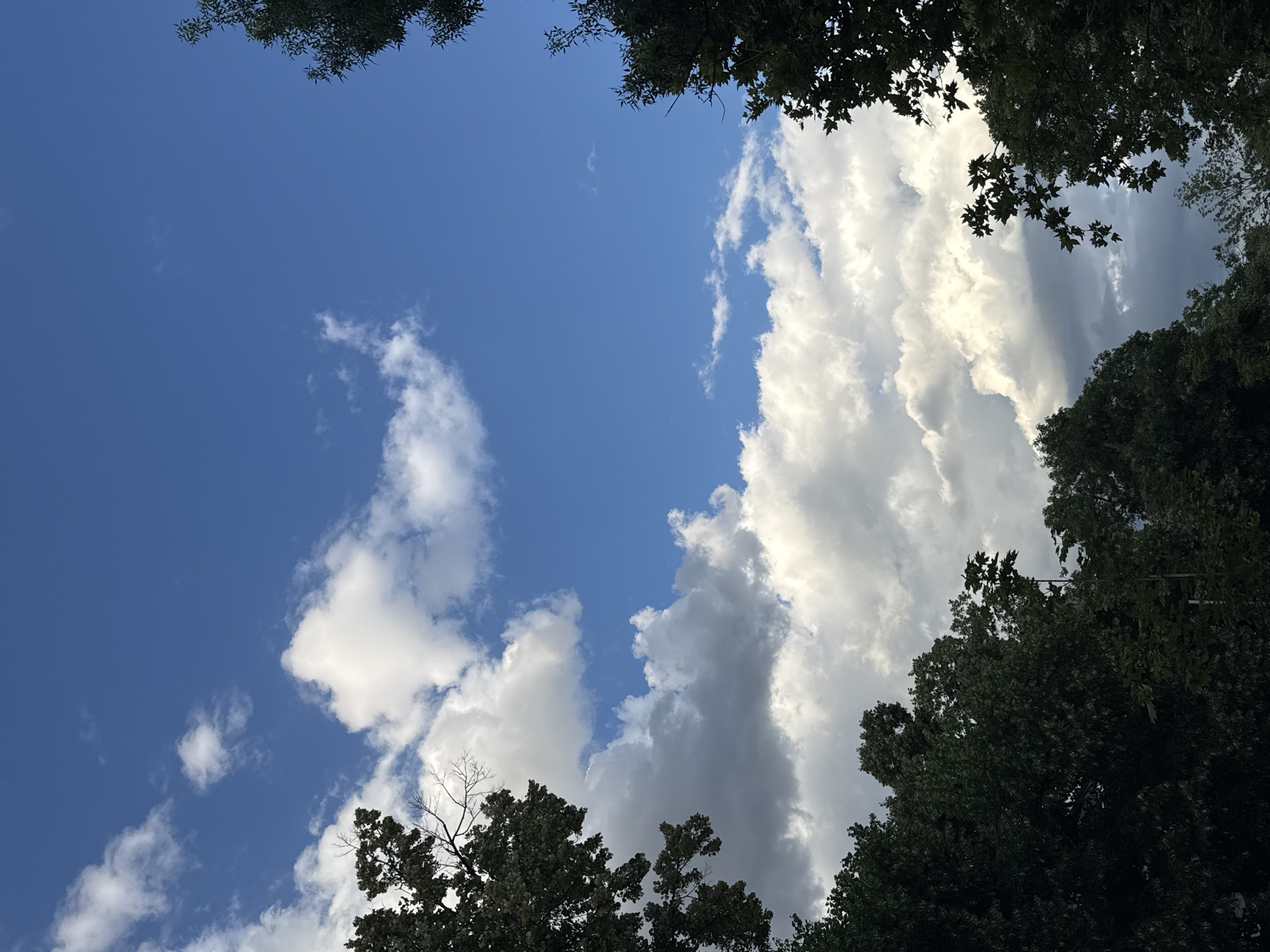 The image shows a view of the sky through the tops of trees. The sky is blue with scattered white and gray clouds. The trees are green and leafy, with some bare branches visible. The image appears to be taken outdoors, possibly in a park or a residential area. There are no people or man-made structures visible in the image. The overall impression is one of a natural, peaceful scene. This image does not contain enough information to determine its location in the city of Plovdiv, Bulgaria.