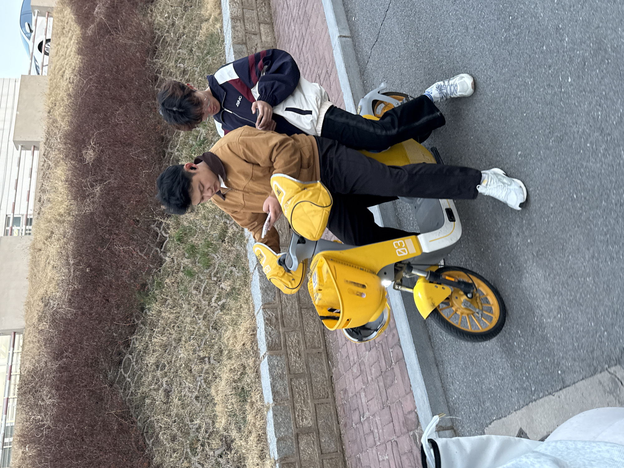 Two young men are riding a yellow shared bicycle on a city street in Zhongtun, China. One man is seated in the front, looking at a cell phone. The second man is sitting behind him. The bicycle is parked near a brick walkway and a brown hedge of bushes.
