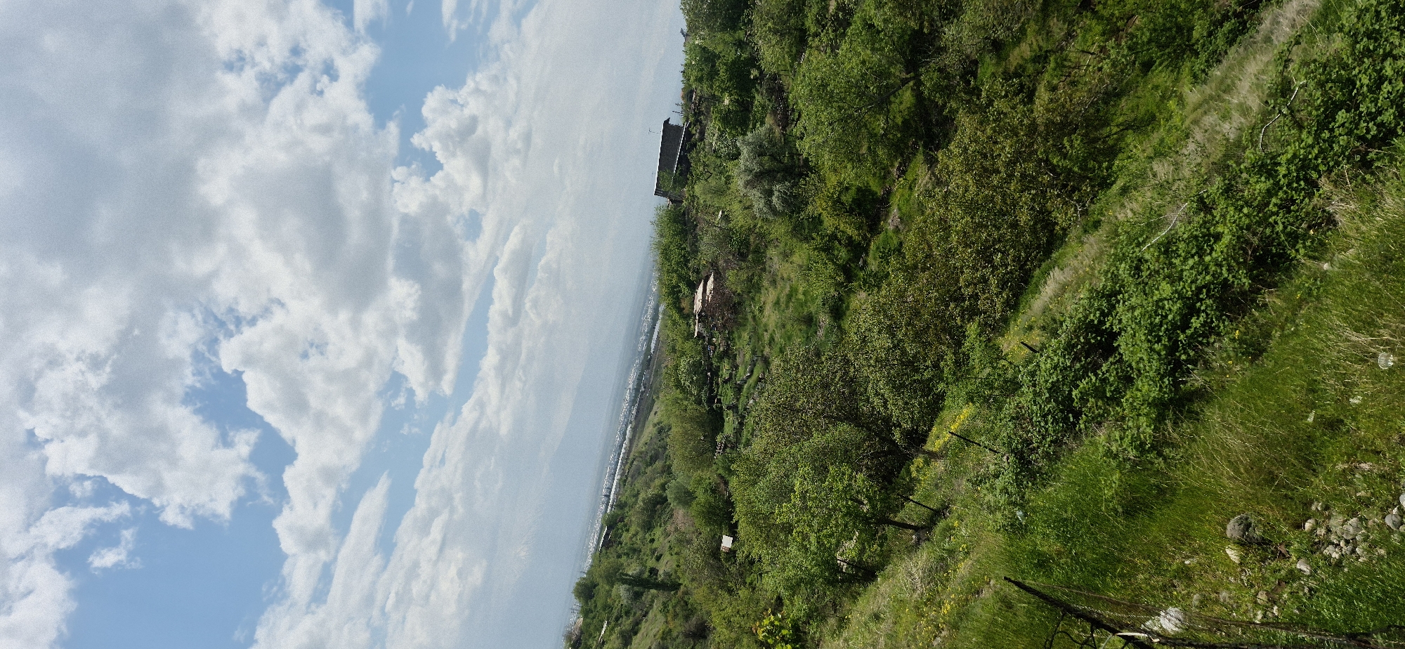 The image shows a landscape in Unknown, Unknown, with a view from a hillside. The right side of the image is dominated by green vegetation, including trees, shrubs, and grass. In the distance, there's a body of water, possibly a lake or the sea, separating the hillside from a line of buildings along the shore. The left side of the image features a blue sky filled with white clouds. A house is visible among the trees on the upper right part of the frame. The image has been rotated, so the horizon is diagonal across the frame.