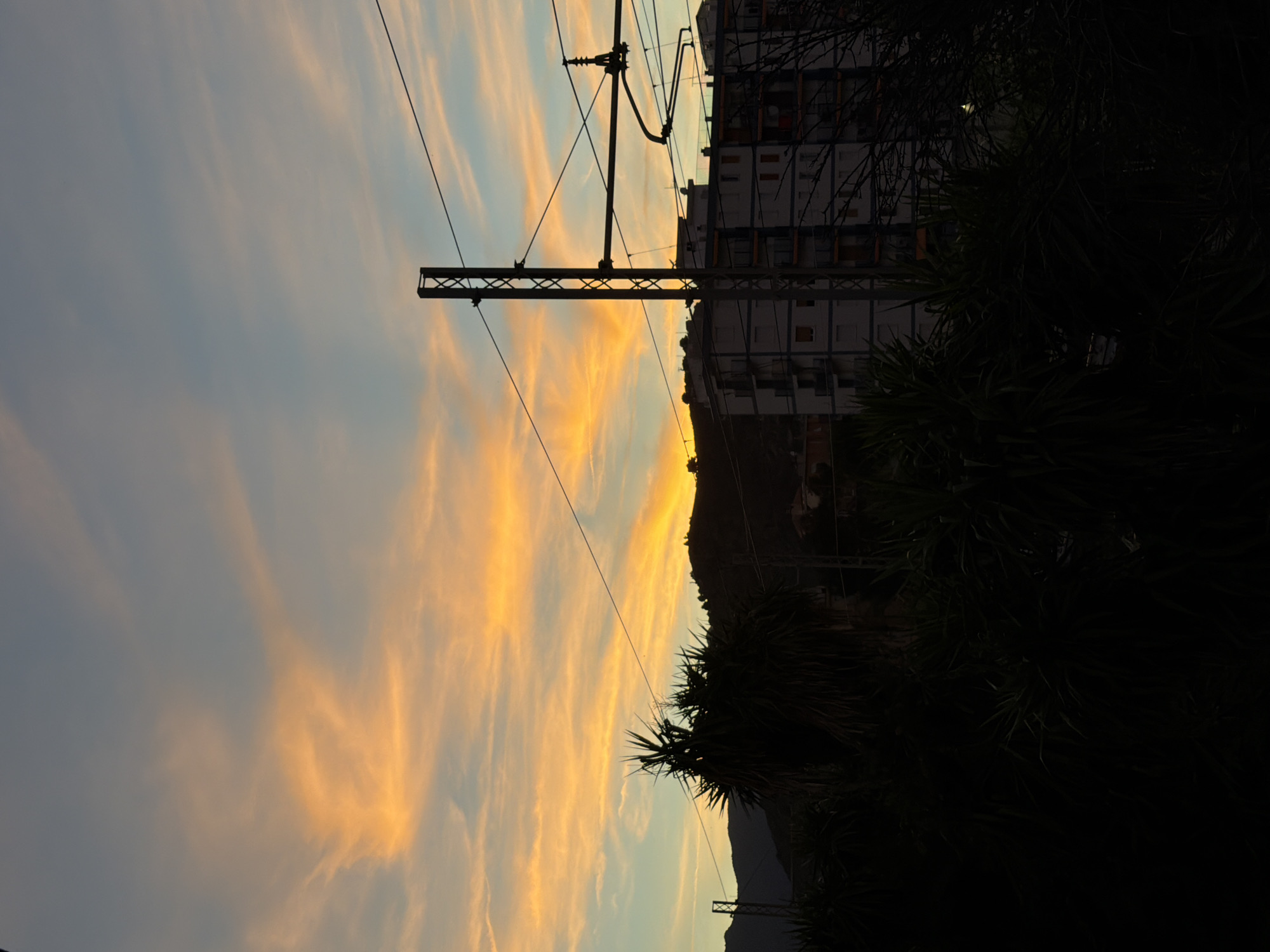 This image captures a serene sunset over Vallecrosia al Mare, Italy. The sky is a canvas of soft oranges and yellows, with wispy clouds stretching across the blue expanse. In the foreground, the silhouettes of palm trees create a dark, lush border, their fronds reaching towards the vibrant sky. Behind the trees, a multi-story building with balconies stands in stark contrast to the natural beauty of the sunset. A utility pole, part of the town's infrastructure, rises vertically, its wires crisscrossing the frame. In the distance, the outlines of hills gently slope towards the horizon, their dark forms framing the illuminated sky. The overall atmosphere is one of tranquility, a moment frozen in time as day transitions to night.