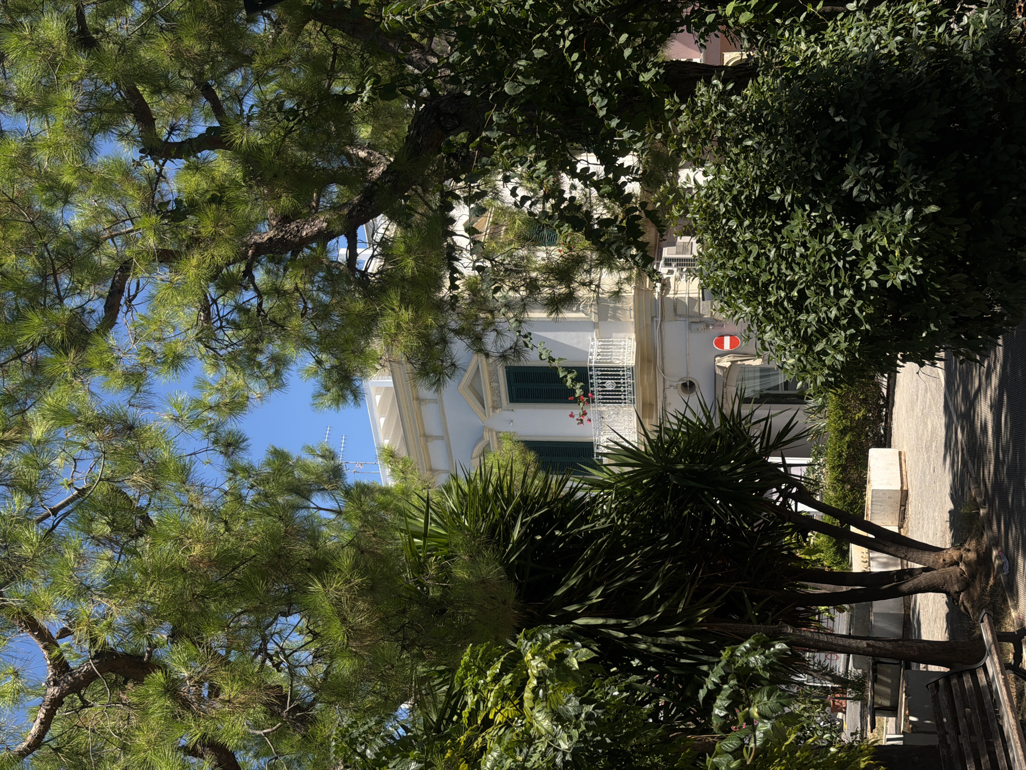 The image captures a sun-drenched view of a white building with green shutters and a decorative balcony, partially obscured by lush green foliage. The building appears to be a residential or commercial structure, likely in a Mediterranean setting. In the foreground, a rustic wooden bench and planters suggest a public space or garden area. The presence of a no-entry sign indicates a street or pedestrian zone. The surrounding vegetation, including pine trees and broad-leafed plants, points to a warm climate. The clear blue sky suggests fair weather. The architectural style of the building, with its ornamental details and white facade, is characteristic of Italian coastal towns like Polignano a Mare, which is known for its whitewashed buildings and proximity to the sea.