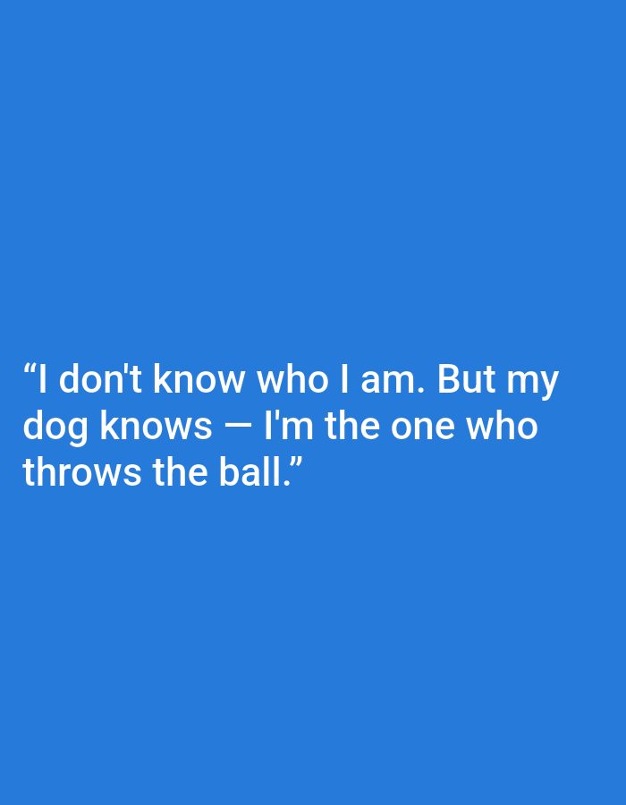 The media file is a digital image with a solid blue background. White text is overlaid on the image, forming a quote. The text reads: "I don't know who I am. But my dog knows — I'm the one who throws the ball." There are no people, objects, or scene elements visible in the image besides the text. The text is centered on the lower half of the image, suggesting a minimalist and text-focused presentation rather than a depiction of a specific event or location. The absence of any visual context implies the focus is solely on the message conveyed by the quote.