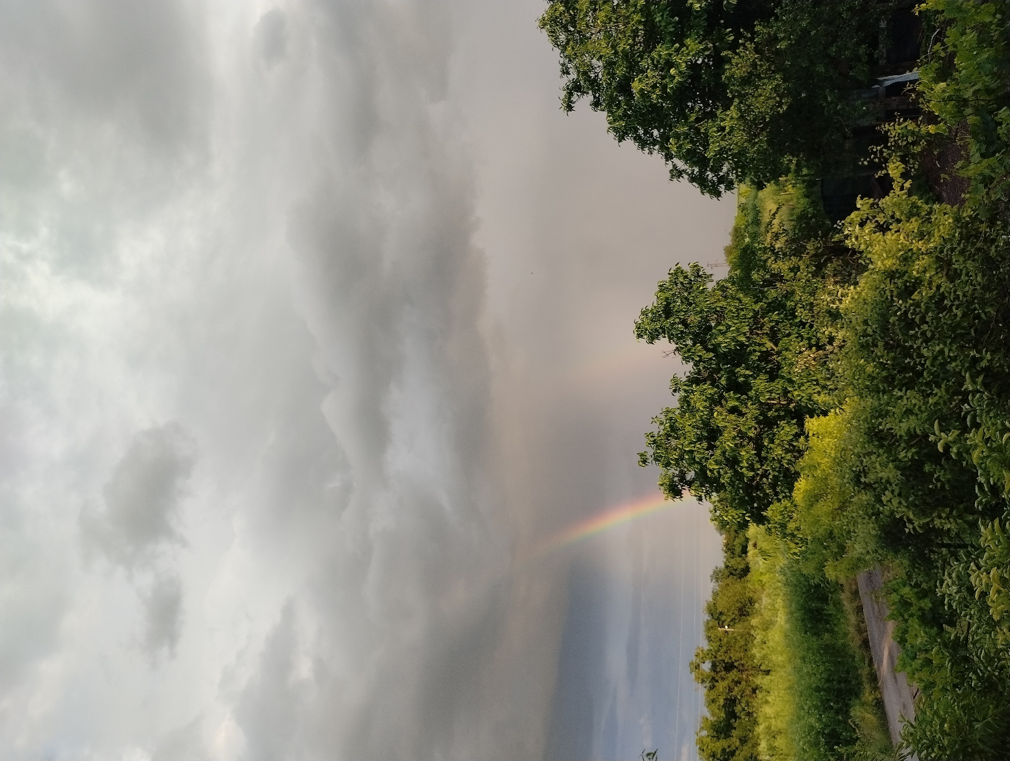 The image depicts a landscape with a rainbow. Dominating the sky are heavy, grey clouds. A partial rainbow is visible, its colors distinct against the backdrop of the clouds and touching down near a patch of green vegetation. Trees and shrubs fill the right side of the frame. A narrow, unpaved road or path runs through the vegetation. The location is Roza, Bulgaria. No people are visible in the image.