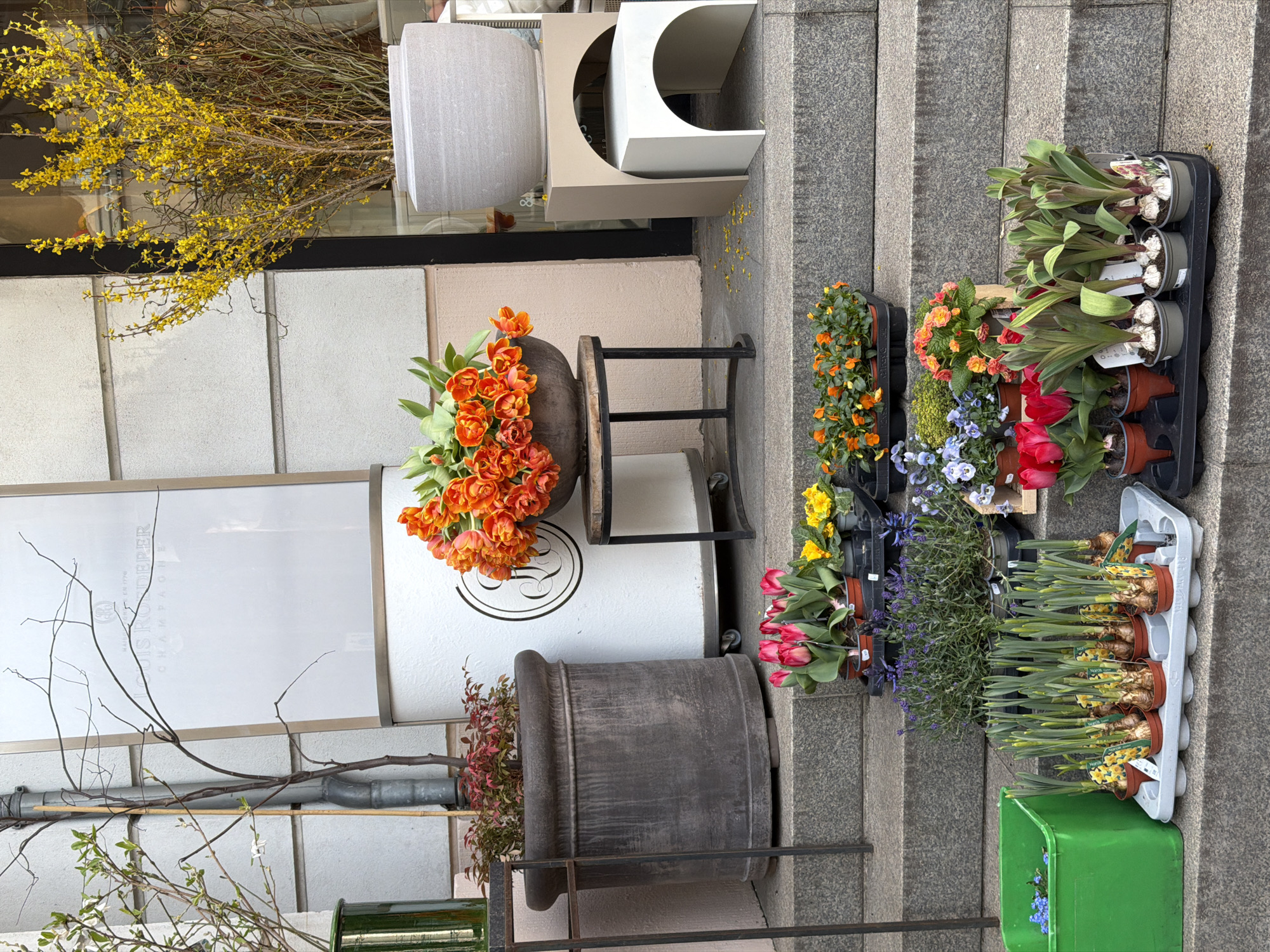 The image shows an outdoor flower arrangement on the steps of a building. There are various potted plants and flowers, including tulips (orange and red), daffodils, and other mixed flowers. A large pot with brownish plants sits near the bottom left corner of the frame. Above that, a vase with orange tulips is placed on a black stand. Next to it, the building's wall is visible with a white sign. Yellow flowering branches are seen in the top left corner. The steps are made of grey stone. The location is indicated by the Louis Roederer Champagne sign on the wall.