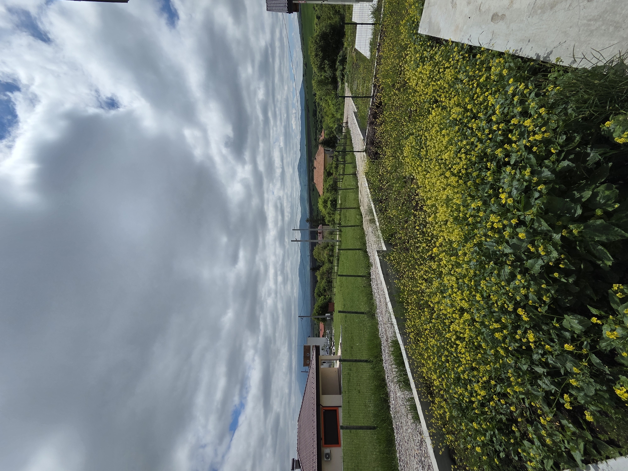 The photograph shows a view from what appears to be a raised platform or balcony, looking out over the landscape of Pojarevo, Bulgaria. The sky is overcast with heavy clouds. The landscape features a mix of residential buildings, fields, and distant mountains. A fence separates the immediate foreground from a grassy area. Beyond the grass is a gravel path running parallel to the fence. A dense patch of yellow flowers grows adjacent to the path. The scene suggests a residential area on the outskirts of Pojarevo, bordering more rural or natural terrain.