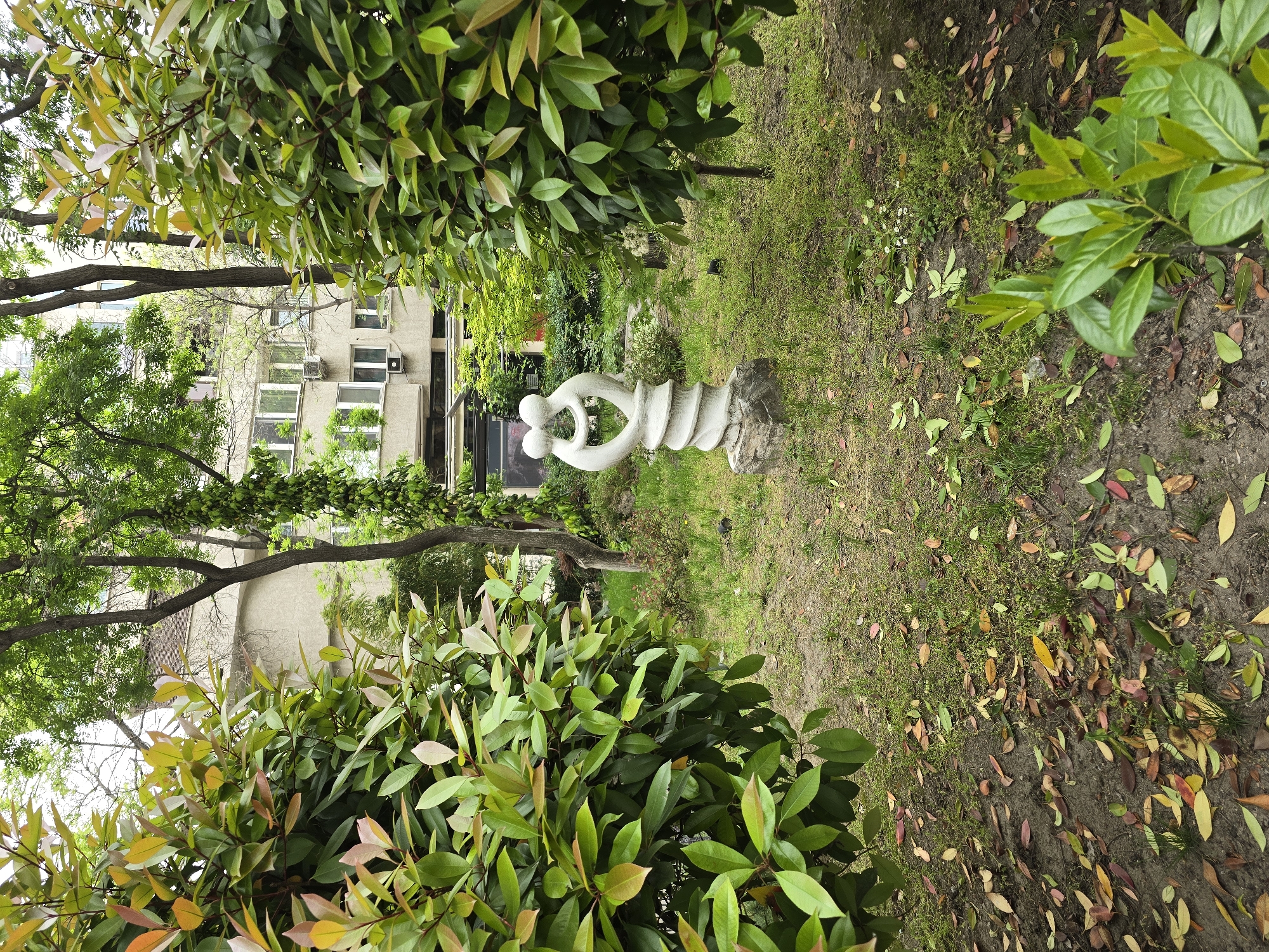 The image shows a verdant garden scene in an unknown city. A white, abstract sculpture stands prominently in the middle ground, framed by dense foliage. In the background, a multi-story building with visible windows and architectural details is partially obscured by trees. The ground is covered with a mix of grass, dirt, and scattered leaves, suggesting a natural, outdoor setting. The vegetation includes various shades of green, indicating different species and stages of growth. There are no people visible in the frame. The scene appears to be taken during the daytime, with soft, natural lighting.