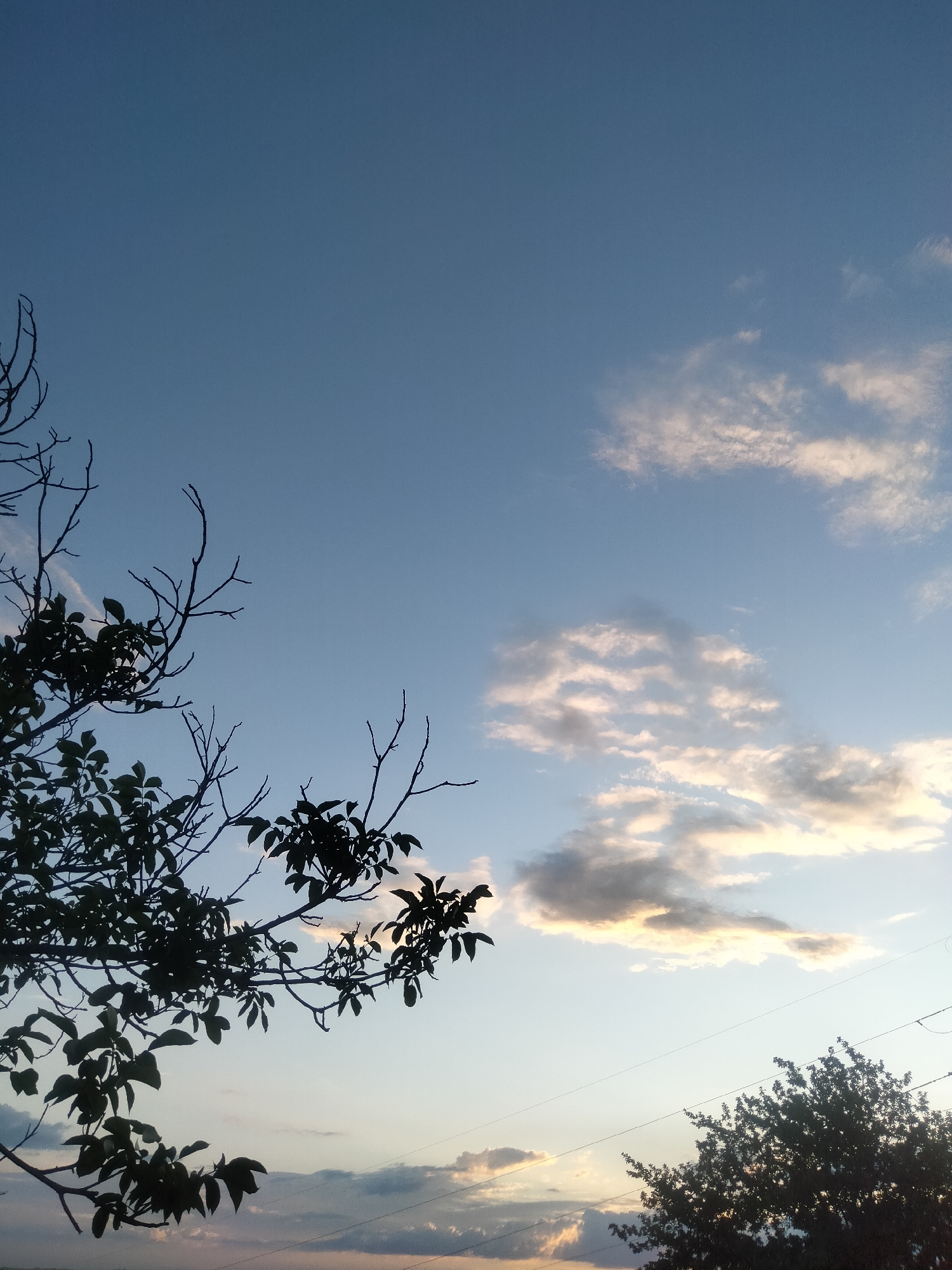The image depicts a serene sky at dusk, with soft clouds tinged with hues of pink and gold from the setting sun. The sky is a gradient of pale blue at the top, transitioning to lighter shades near the horizon. Silhouetted against this backdrop are the branches of a tree with dark green leaves on the left side of the frame, and another tree on the right. Power lines stretch horizontally across the lower portion of the image, cutting through the twilight sky. The overall scene evokes a sense of tranquility and the end of a day in a rural or semi-rural setting, possibly Ananiv, Ukraine, given the location context. There is no text visible in the image.
