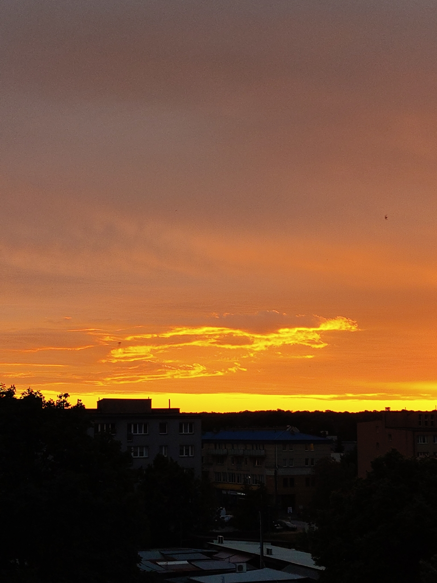 This media file depicts a vibrant sunset over a residential area, likely in Nowy Dwór Mazowiecki, Poland. The sky is dominated by a dramatic gradient of colors, transitioning from a soft, dusky lavender at the top to a brilliant, fiery orange and yellow near the horizon. Wispy clouds are illuminated by the setting sun, creating streaks of bright gold across the sky.
Below the colorful sky, the silhouettes of buildings and trees are visible against the bright light. Several apartment buildings, characterized by their multi-story structures and numerous windows, are partially obscured by dark foliage. The architecture suggests a post-Soviet era, common in many parts of Poland. The foreground shows the dark shapes of rooftops, possibly of garages or smaller structures, adding depth to the scene.
The time of day is clearly evening, as indicated by the sunset. The weather appears to be clear, allowing for an unobstructed view of the dramatic sky. The overall emotion evoked by the image is one of tranquility and awe, with the natural beauty of the sunset providing a peaceful backdrop to the urban environment. There is no visible text in the media file.