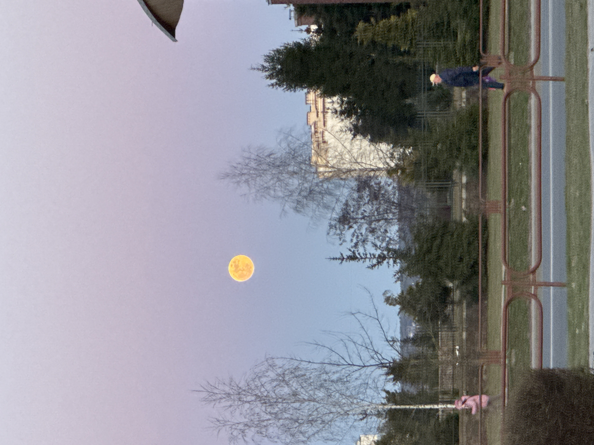 The image presents a twilight scene in Hrodna, Belarus, oriented vertically. In the upper-right quadrant, a person wearing a blue jacket and a light-colored hat walks along a sidewalk behind a red metal fence. A building with multiple stories is partially visible behind the trees, toward the center. Bare trees are silhouetted against a gradient sky with a full moon, a prominent yellow orb, in the center-left portion. A pink teddy bear is visible on the ground in the lower-right corner of the frame. A fragment of a roof is visible at the top-left corner of the image.