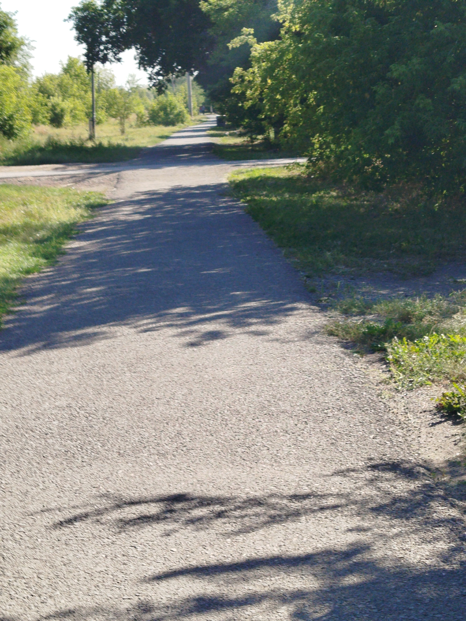 The image shows an asphalt path curving through a park-like setting. Lush green trees and vegetation line the path on both sides, with dappled sunlight casting shadows from the foliage onto the ground. The path appears to be relatively wide and well-maintained, suggesting it is a pedestrian walkway or possibly a bicycle path. The overall scene is serene and natural, indicative of a public outdoor space. There are no people or vehicles visible in the image. There is no specific information in the image to suggest it is located in Qarağandı city administration, Kazakhstan.