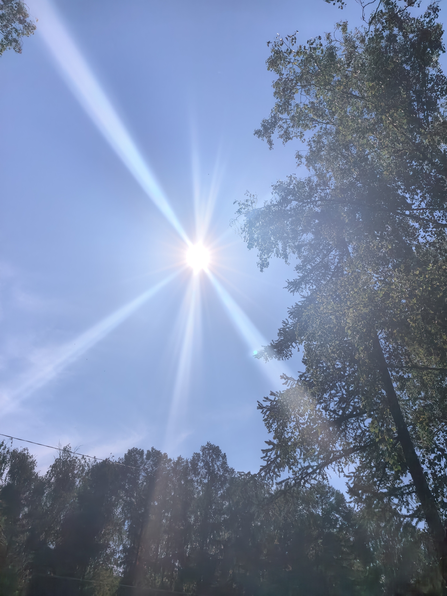 The image shows a view looking up into a bright, blue sky with the sun prominent in the center. The sun emits visible rays of light. Trees with green foliage are present on the right and in the lower section of the image, obscuring the view. The location is Sterlitamak, Russia.