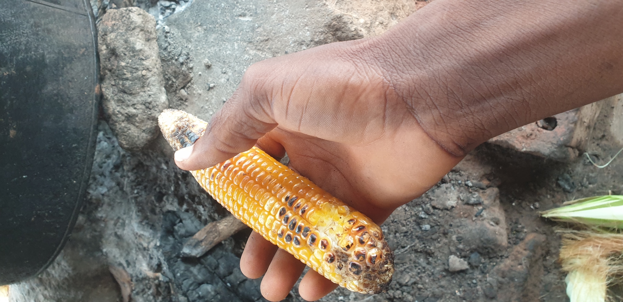 A close-up shot shows a person's dark-skinned hand holding a cob of corn that has been roasted over a fire, likely in Yelwa, Nigeria. The corn is bright yellow, with some kernels blackened and charred from the roasting process. The hand is resting on a rough, stony surface, with visible texture and creases on the skin. In the background, a black pot or cauldron is partially visible, suggesting a cooking environment. The ground appears to be made of dirt and ash, indicative of an outdoor fire pit. The overall scene depicts a rustic setting where food is being prepared outdoors.