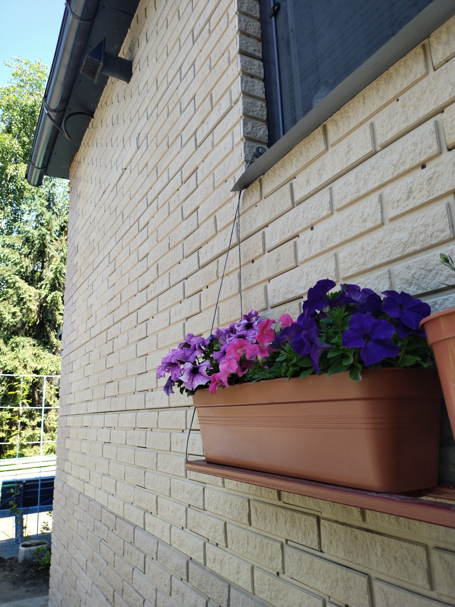 The image shows a close-up, low-angle view of a light-colored brick wall of a building. A dark gray gutter runs along the top left of the wall, and a black vent pipe protrudes from the wall just below the gutter. A window with a dark screen is visible in the upper right portion of the image. Hanging from a wire attached to the wall is a rectangular brown planter box filled with vibrant purple and pink petunias. The planter is positioned on a shelf attached to the brick wall, below the window. In the background to the left, lush green trees and a glimpse of a white railing and blue fence are visible, suggesting an outdoor setting. The scene appears to be in a residential area.