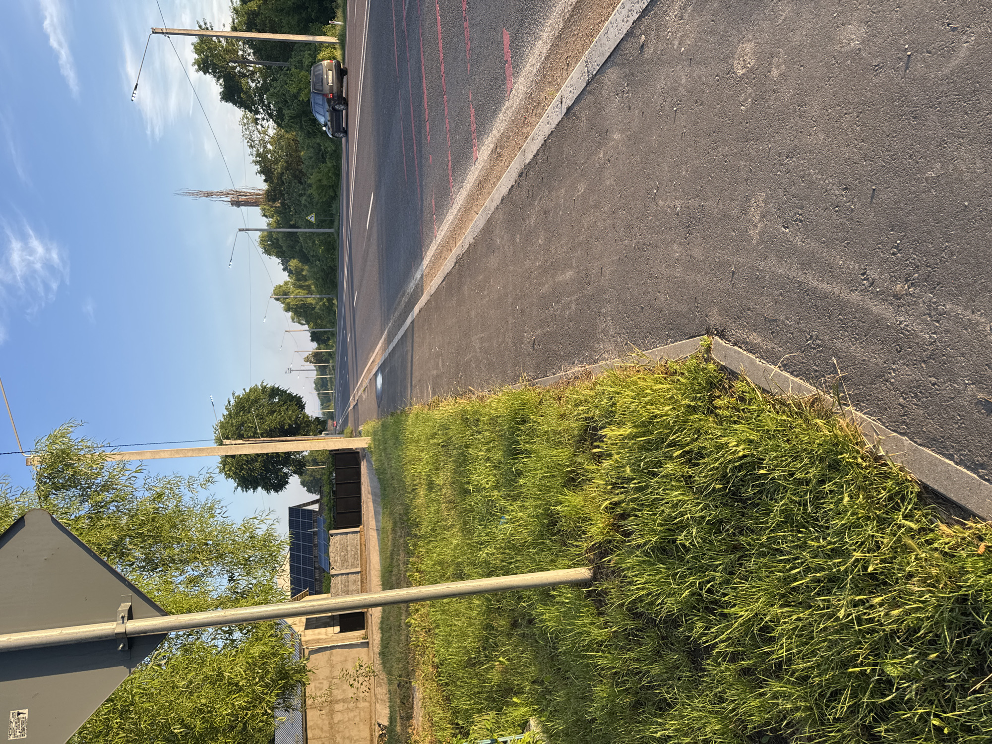 The image depicts a street scene in Strășeni, Moldova, on a clear day with a bright blue sky. The foreground is dominated by a paved sidewalk on the left, bordered by a strip of lush green grass. A silver-colored metal pole, likely a street signpost, stands vertically in the grassy area. Behind the grass and pole, a low concrete wall is visible, topped with a dark fence and a building with a tiled roof and solar panels.
The street itself is asphalt with painted white lines marking lanes. Red markings are also present on the asphalt, suggesting a recent or ongoing road marking activity. A dark-colored station wagon is traveling on the right lane of the road. Streetlights are positioned along the roadside at intervals. In the distance, trees line the sides of the road, and a tall, slender, spire-like structure is visible among them. The overall scene suggests a suburban or semi-urban environment on a sunny day.