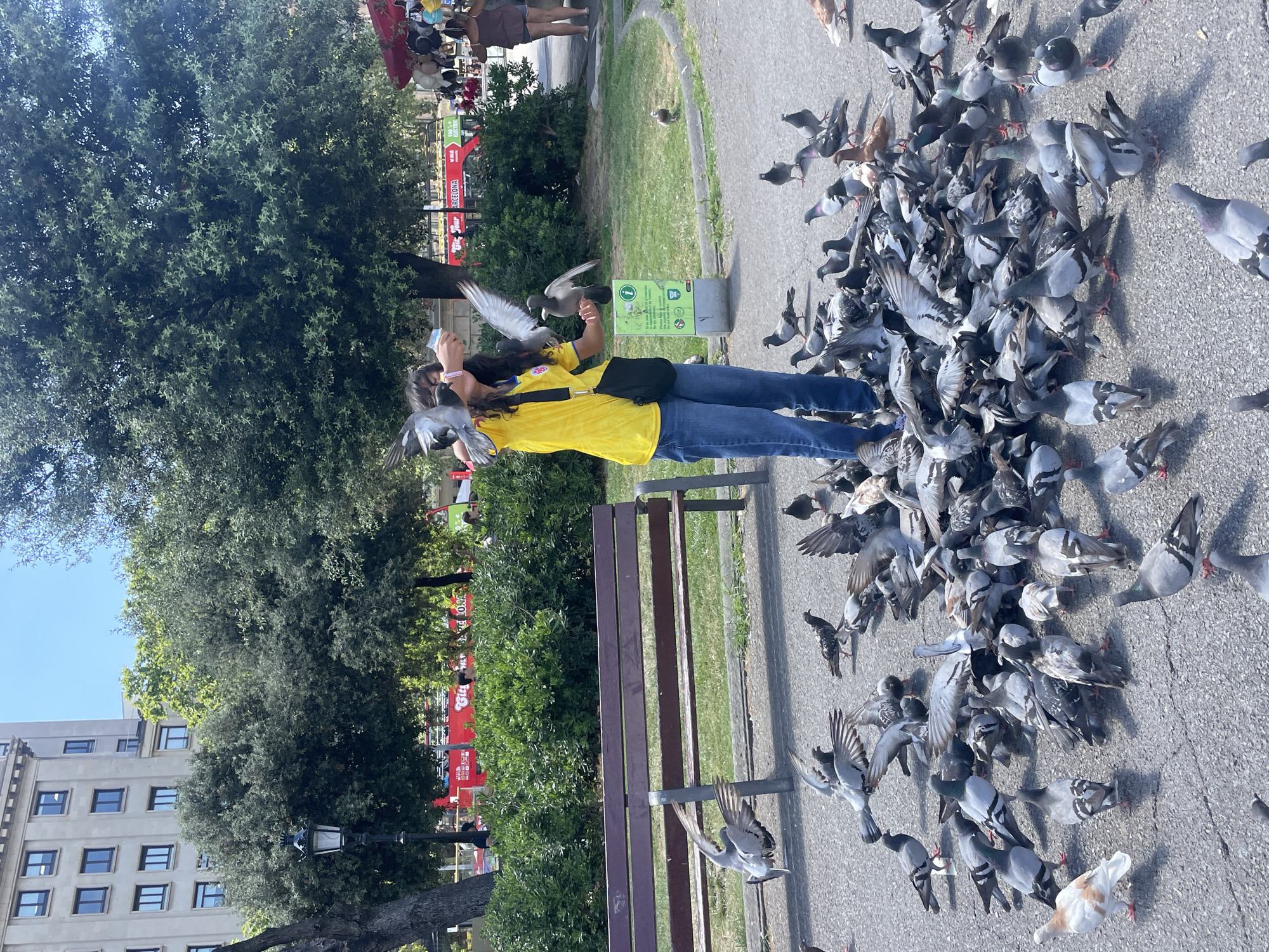In a park in Barcelona, Spain, a person wearing a yellow shirt and blue jeans is feeding a flock of pigeons. The person is holding something in their hand, likely food, and several pigeons are gathered around, some flying and others on the ground. The scene is outdoors, with trees and a park bench visible in the background. The weather appears to be sunny and warm, suggesting it's daytime. A red bus with "BARCELONA" visible on its side is in the distance, along with other people. The overall mood seems peaceful and engaging as the person interacts with the birds.