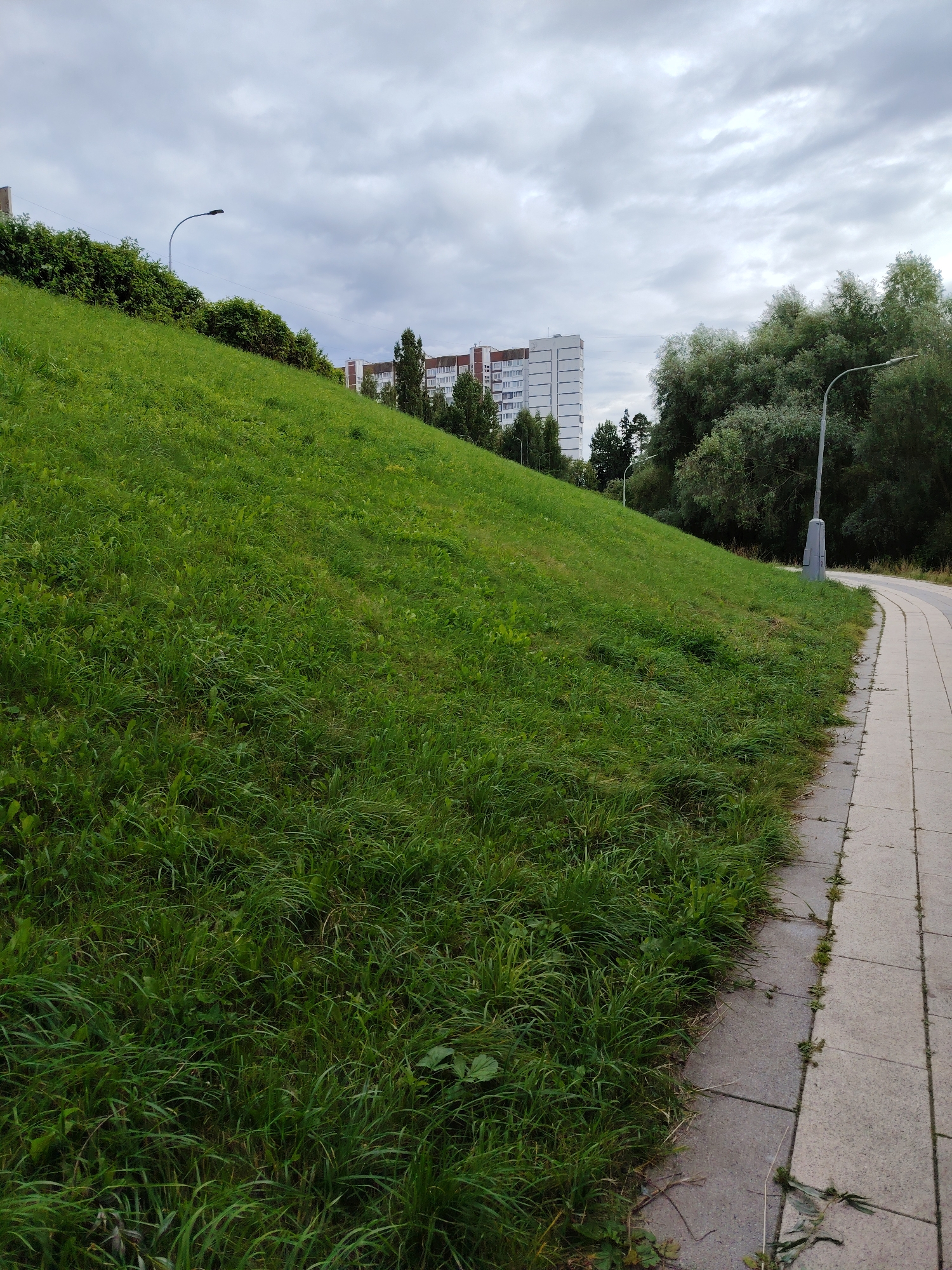 The image shows a grassy hill sloping upwards to the left, with a paved walkway running along the bottom right. In the background, there is a large apartment building with a white and red facade, trees, and a cloudy sky. A lamppost is visible on the top of the hill and another on the right side of the walkway. The scene appears to be a park or residential area in Zelenograd, Russia, likely on an overcast day.