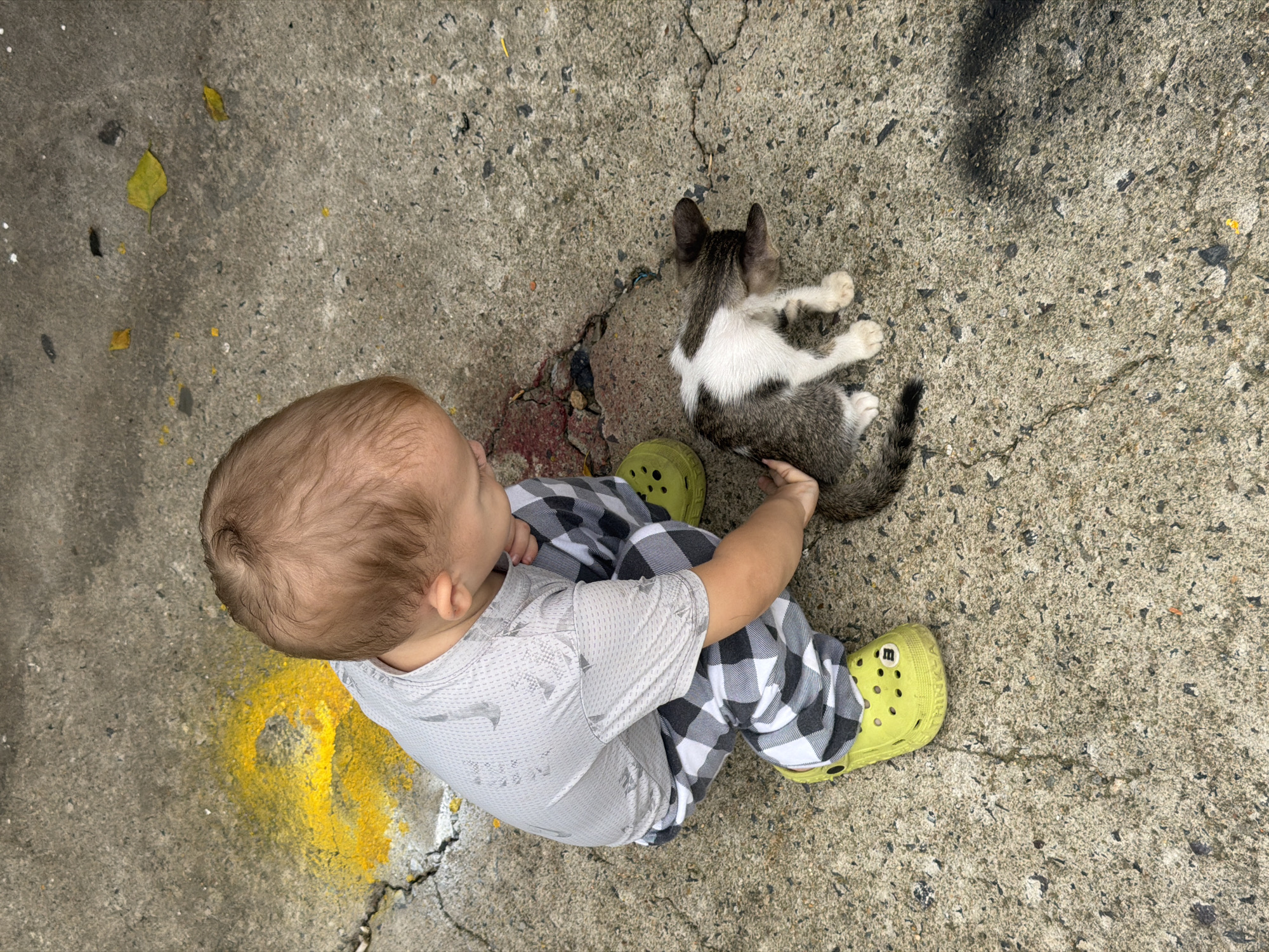 An overhead shot depicts a toddler and a kitten on a concrete surface, possibly in Bac Nha Trang Ward, Vietnam. The toddler has fair skin, light brown hair, and wears a gray t-shirt, black and white checkered pants, and lime green Crocs. The kitten is gray and white with short fur. The concrete surface is cracked and mottled in various shades of gray, with a small patch of yellow paint on the left side of the frame. The toddler appears to be interacting with the kitten.