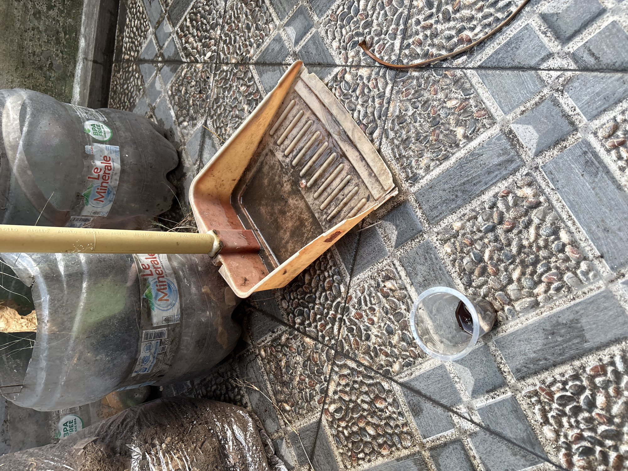 In Palimanan, Indonesia, on a patterned tile floor, a dustpan lies open, filled with murky water. Next to it, a small clear plastic cup contains a dark liquid. In the background, two large, translucent plastic bottles, likely repurposed as planters, are visible. One bottle displays the label "Le Mineral." A brown string lies on the floor near the dustpan. The scene suggests an outdoor or semi-outdoor area, possibly a yard or garden.