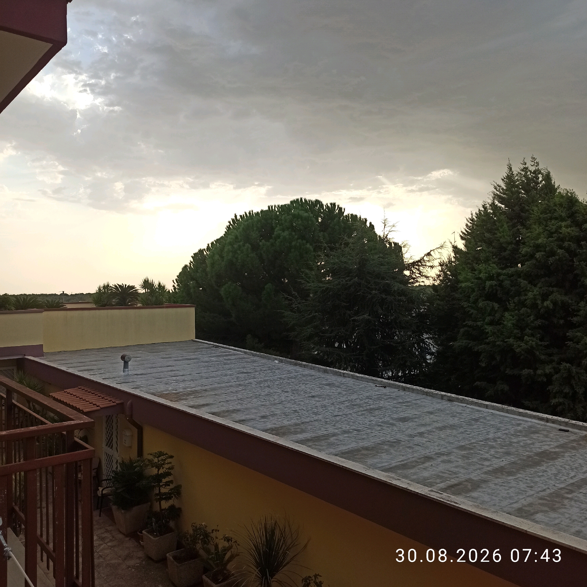 The image depicts a rooftop view overlooking a residential area in Bitonto, Italy, on August 30, 2026, at 07:43. The scene is characterized by a cloudy sky with patches of sunlight breaking through, suggesting either dawn or dusk. In the foreground, a flat, gray rooftop is visible, bordered by a yellow wall and a brown railing. Several potted plants are arranged on the rooftop and along the side of the building. Further in the background, dense green trees, including a large pine tree, dominate the landscape, with some palm trees visible in the distance. The architecture appears to be Mediterranean in style, with stucco walls and terracotta roof tiles on a smaller structure. There are no people visible in the image.