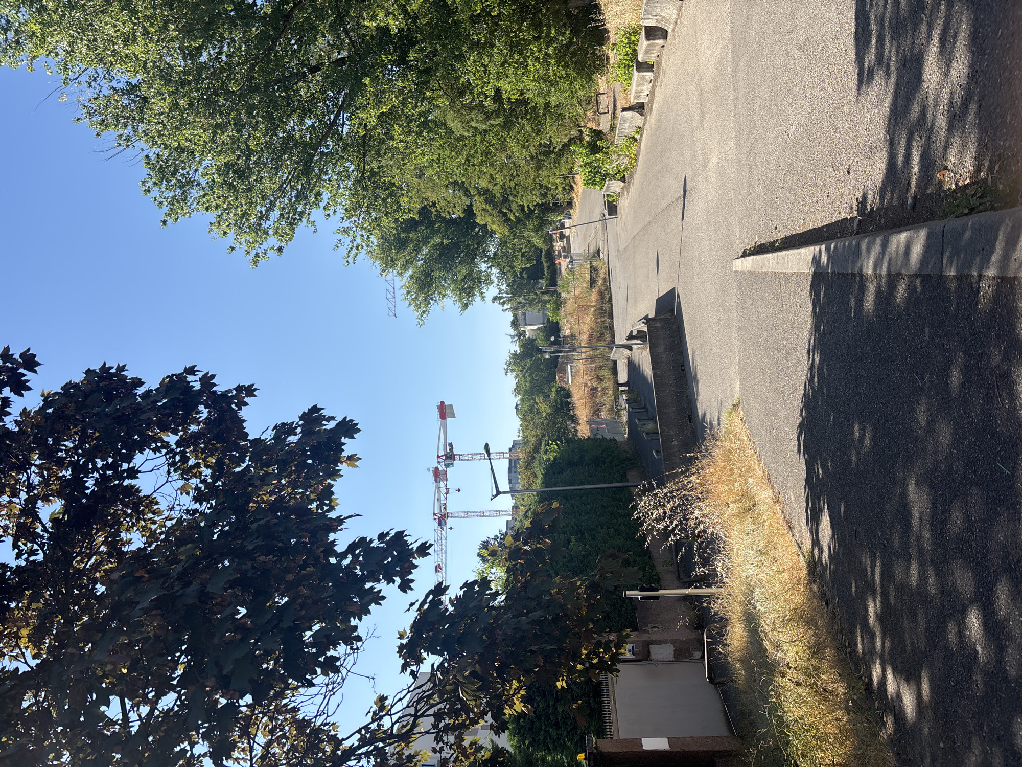 The image depicts a paved road leading uphill through a semi-urban area with abundant greenery and construction cranes visible in the distance. The road is lined with concrete barriers and dry grass. On the left side of the road, there is a wall and lush green bushes, with a building partially visible behind them. Further up the road, several large construction cranes are prominent against a clear blue sky. The overall impression is that of a developing area or a construction site on the outskirts of a city, likely Lyon, France, given the presence of specific construction crane models often seen in large infrastructure projects. The lighting suggests it is a bright, sunny day. There are no people or animals visible in the scene.
