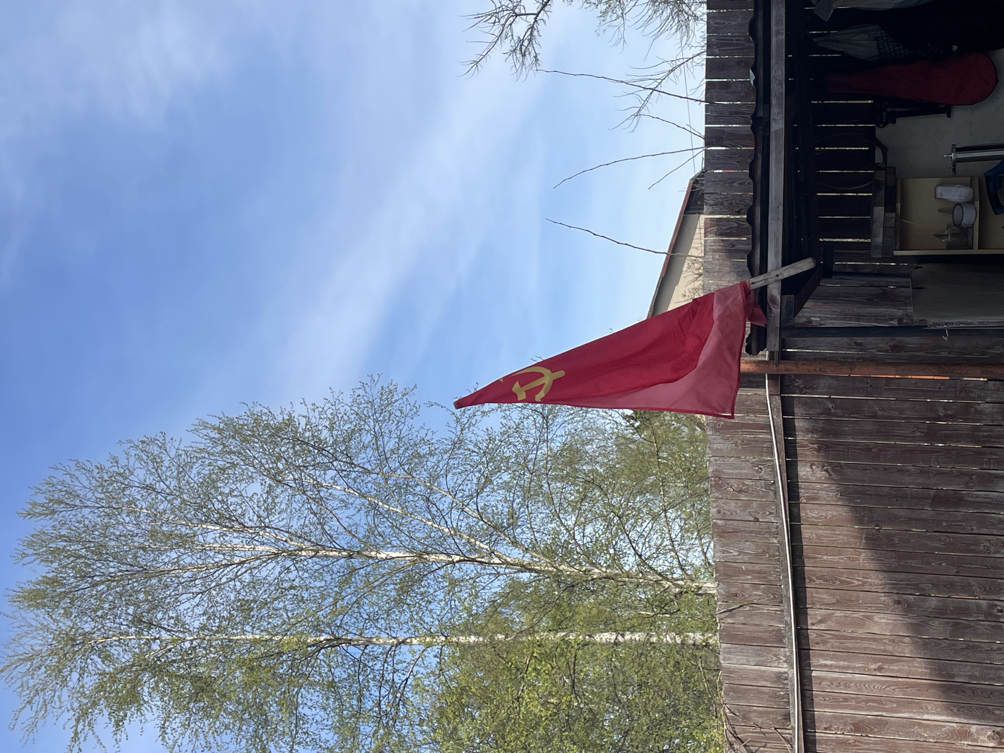 A red flag with a golden hammer and sickle emblem hangs from a wooden structure, possibly a shed or small building. The structure is made of horizontal wooden planks and has an open area at the top, revealing some items stored inside. To the left of the structure is a birch tree with young leaves, silhouetted against a blue sky with wispy clouds. The photograph appears to be taken outdoors during daylight. It is located in Sestroretsk, Russia.