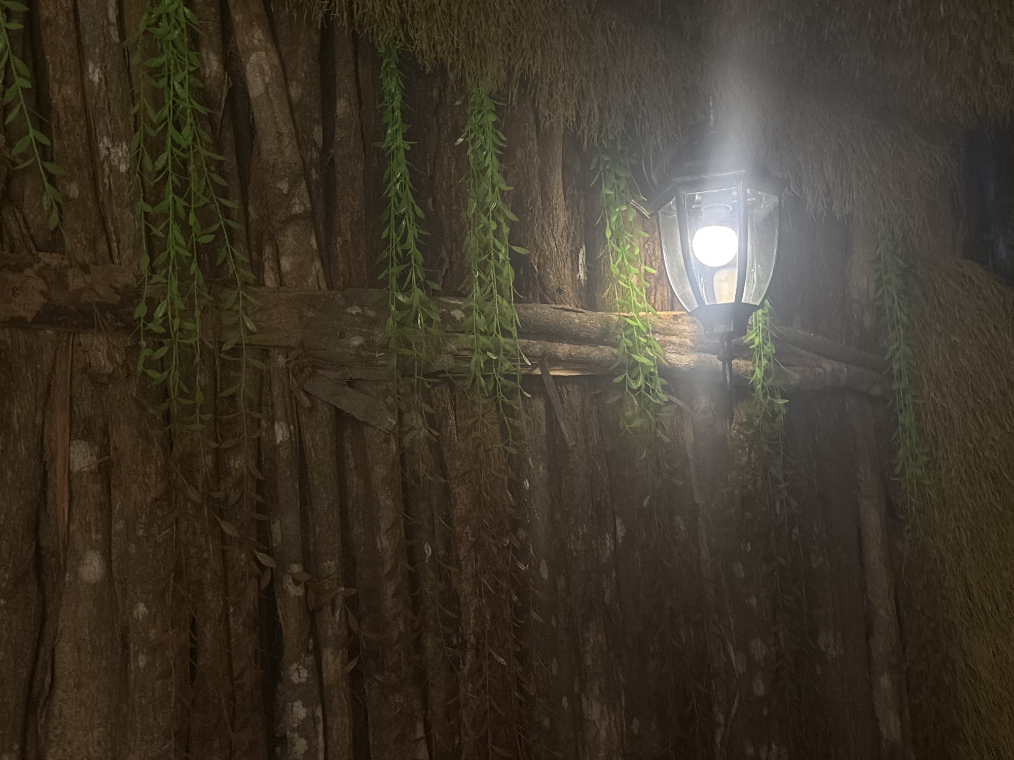 The media file depicts a close-up view of a rustic, dimly lit scene, likely an outdoor setting in Bac Nha Trang Ward, Vietnam. The primary subjects are a vintage-style lantern with a bright bulb illuminating the immediate area and several strands of artificial greenery hanging down, creating a sense of overgrowth or natural decor. The background consists of rough, textured surfaces that resemble tree bark or aged wood, possibly part of a thatched roof structure or wall.
The lantern itself is a black, metal fixture with glass panes, and its light casts a soft glow and a slight haze, suggesting it is nighttime or the area is otherwise not brightly lit. The artificial plants are a vibrant green, contrasting with the darker, earthy tones of the structure. Some of the strands are draped over horizontal wooden beams, and others hang freely.
There are no people visible in the image, nor is there any clear indication of a specific activity or event. The overall impression is one of a tranquil, possibly tropical, environment with a touch of curated wilderness. The lighting and textures evoke a sense of warmth and intimacy, despite the absence of human presence. The image does not contain any visible text.