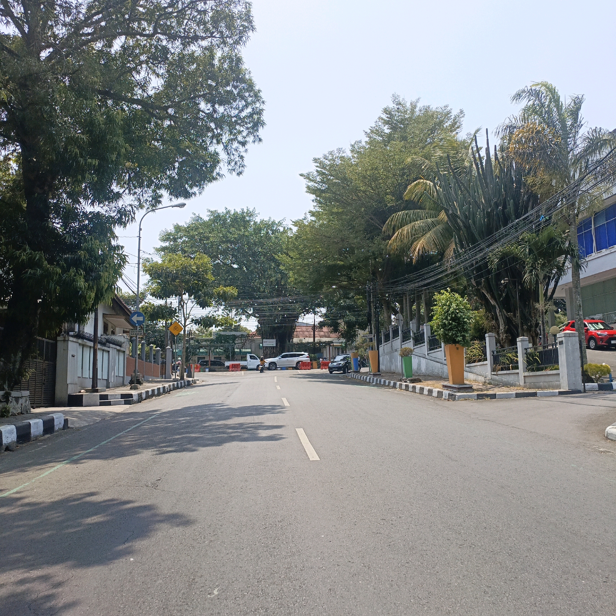 The image shows a wide asphalt road with white dashed lane markings, curving slightly to the right as it recedes into the distance. The road is lined with sidewalks featuring black and white checkered curbs. On the left side of the road, there is a low-rise building with a fence and several large trees. A street lamp is visible on the left. On the right side of the road, there is a fence with decorative planters containing green plants. Further down the road on the right, a modern building with blue-tinted windows is visible, and a red car is parked. Various trees, including palm trees and other leafy varieties, are abundant throughout the scene, casting shadows on the road. Traffic signals and road signs, including a directional arrow sign and a bicycle warning sign, are present. Several vehicles are visible on the road, including a white SUV, a dark sedan, and a white pickup truck. A person on a motorcycle is also present. The sky is clear and bright, suggesting a sunny day. The scene appears to be a well-maintained urban street in Salatiga, Indonesia, with a mix of residential or commercial buildings and significant greenery.